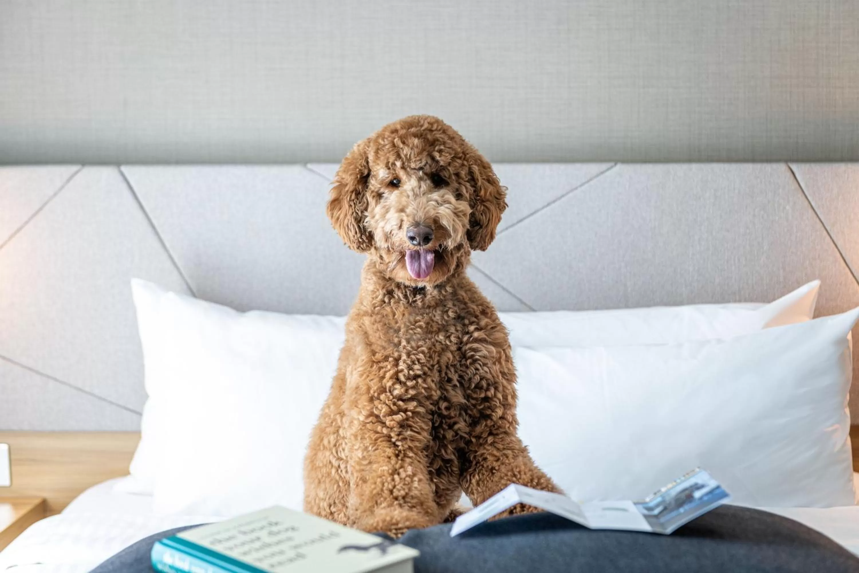 Other in Residence Inn by Marriott Slough