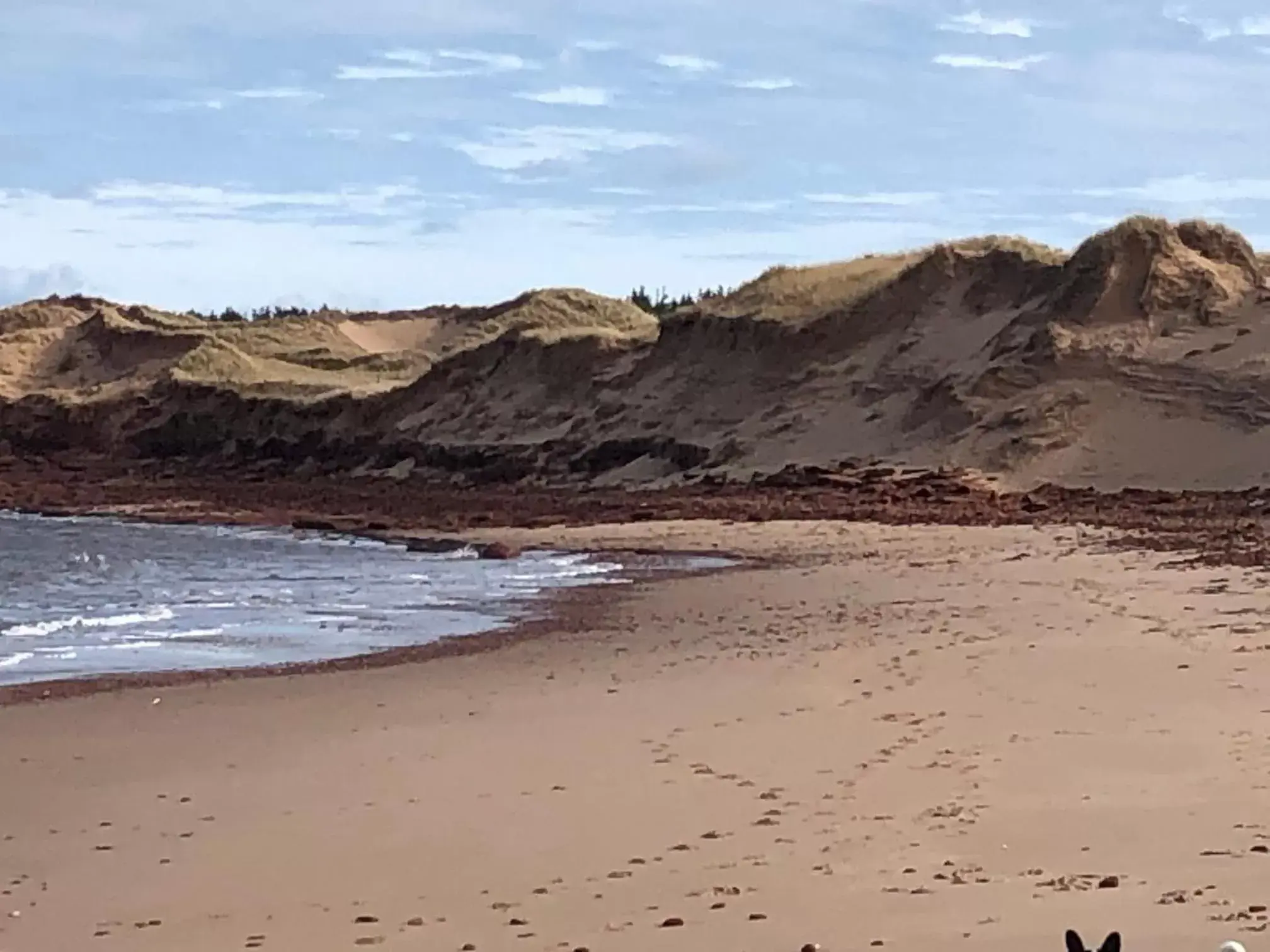 Natural landscape, Beach in Baker Shore Bed and Breakfast