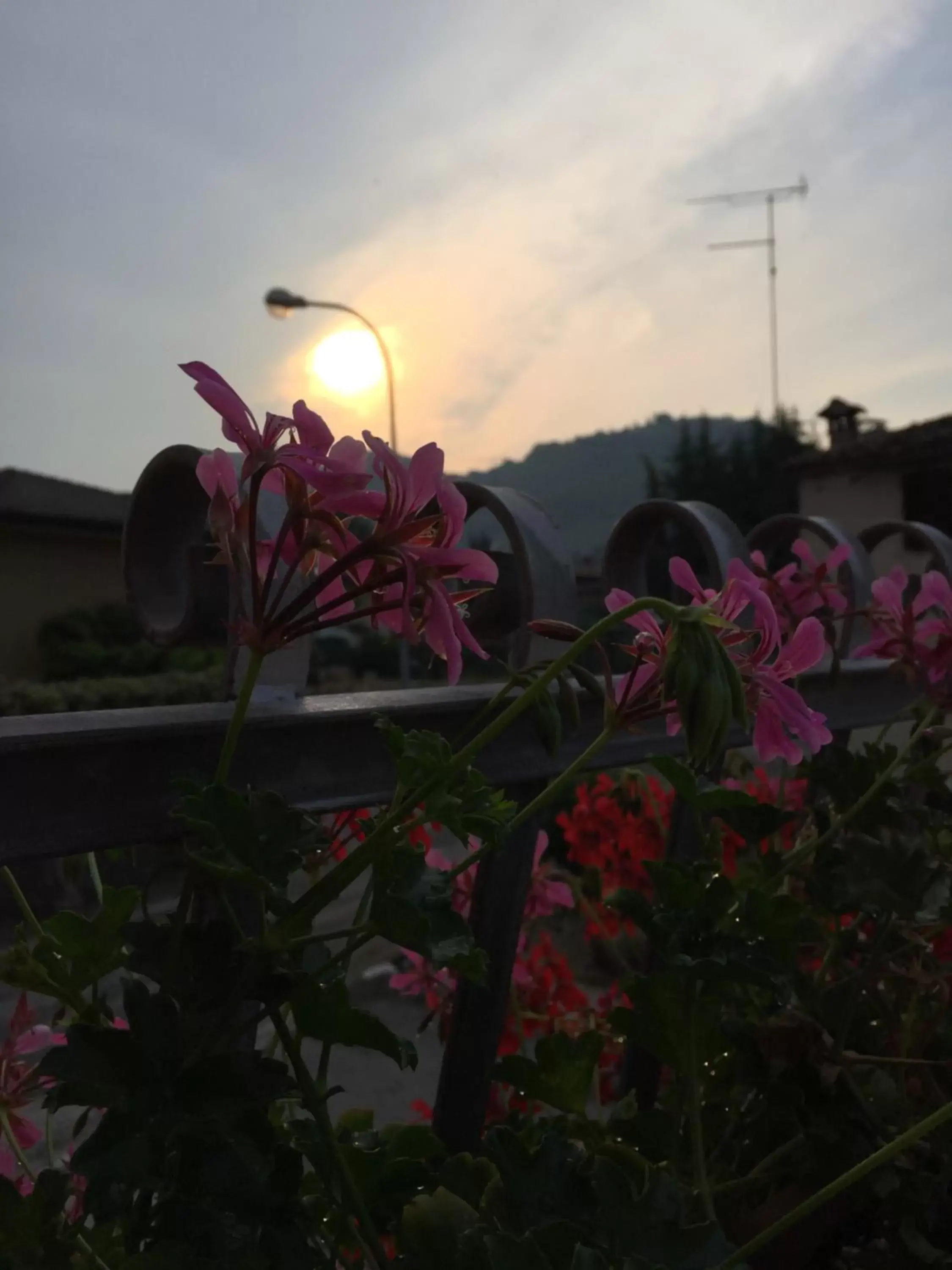 Balcony/Terrace, Sunrise/Sunset in B&B Casa del Conte