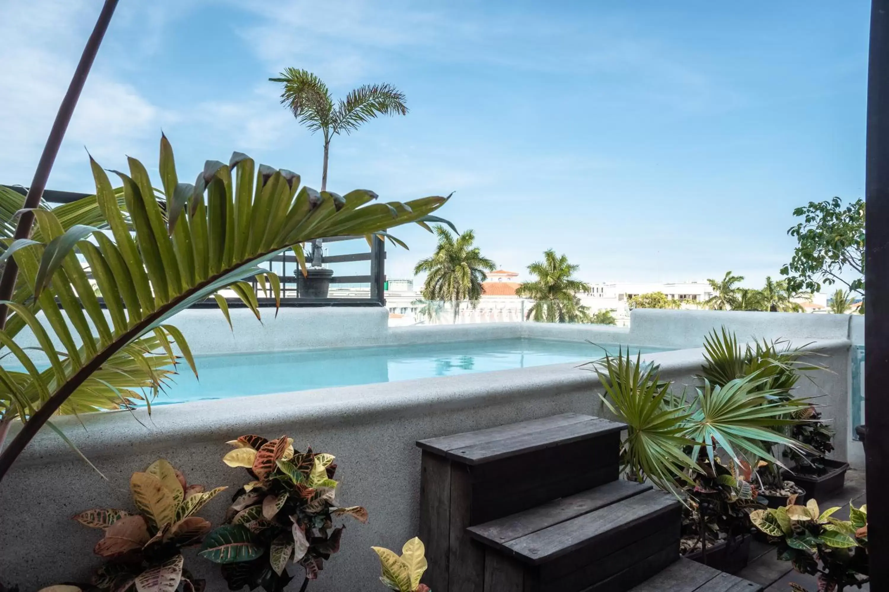 Swimming Pool in Maui hostel playa del carmen