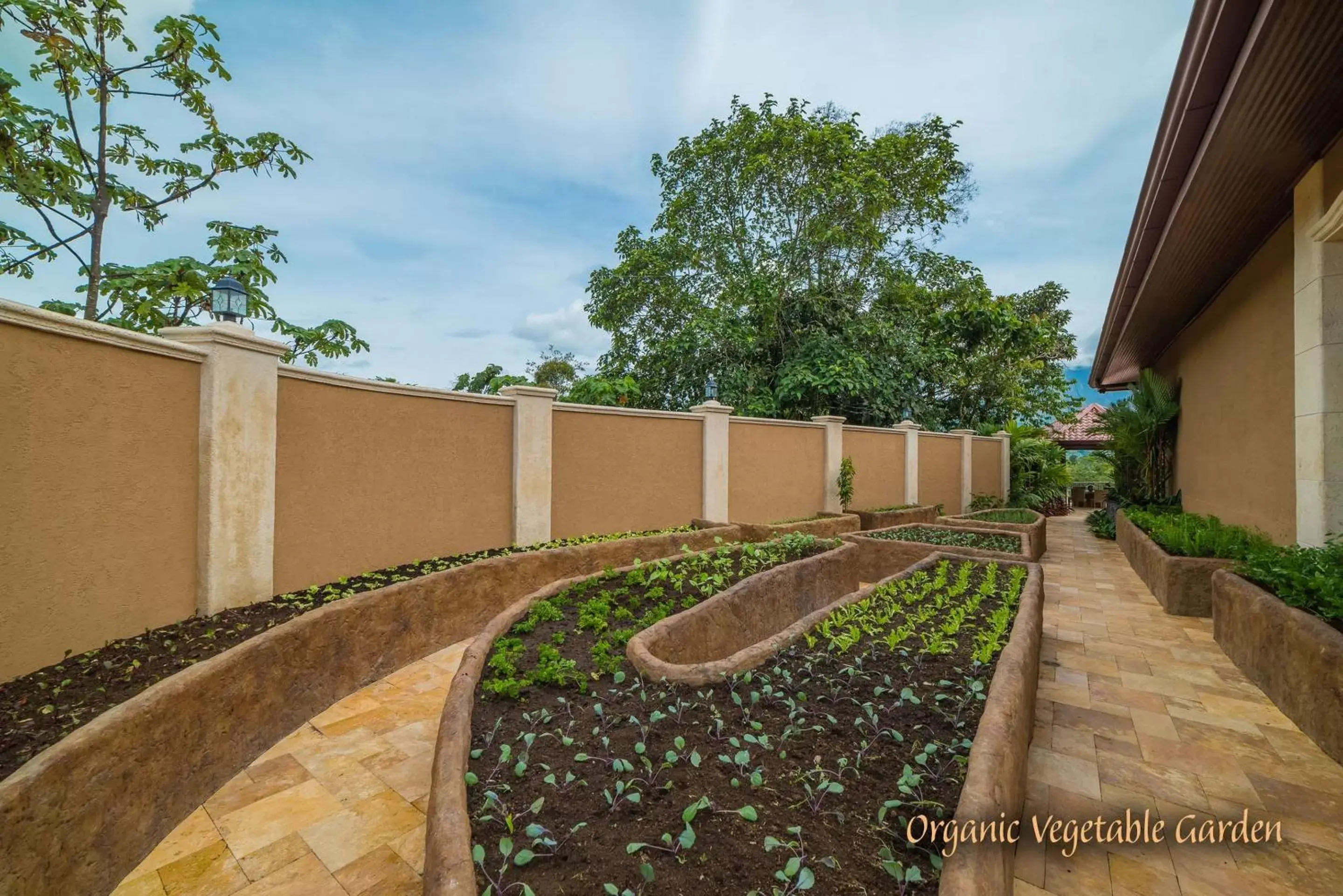 Garden in The Springs Resort & Spa at Arenal