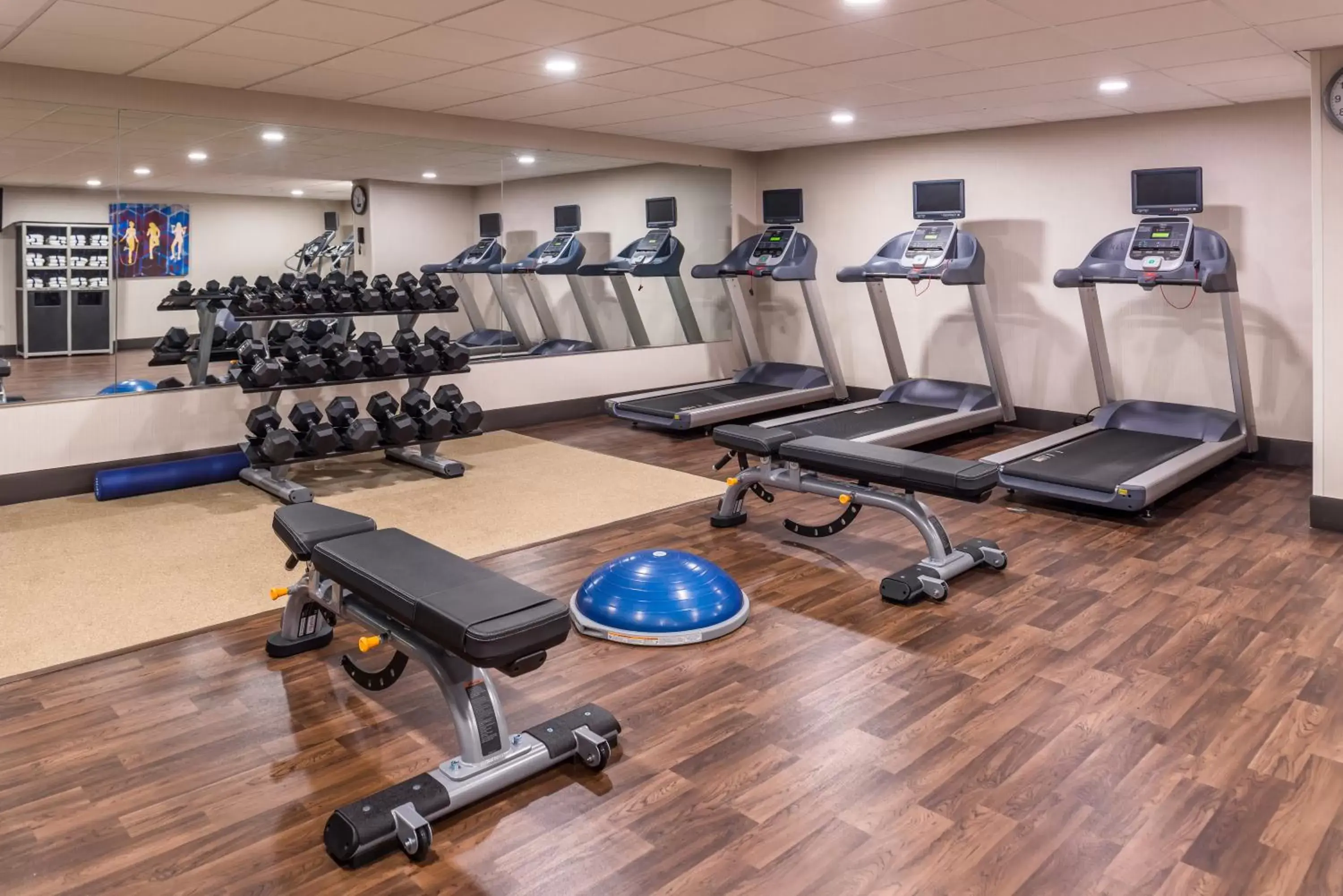 Fitness centre/facilities, Fitness Center/Facilities in Holiday Inn Auburn-Finger Lakes Region, an IHG Hotel