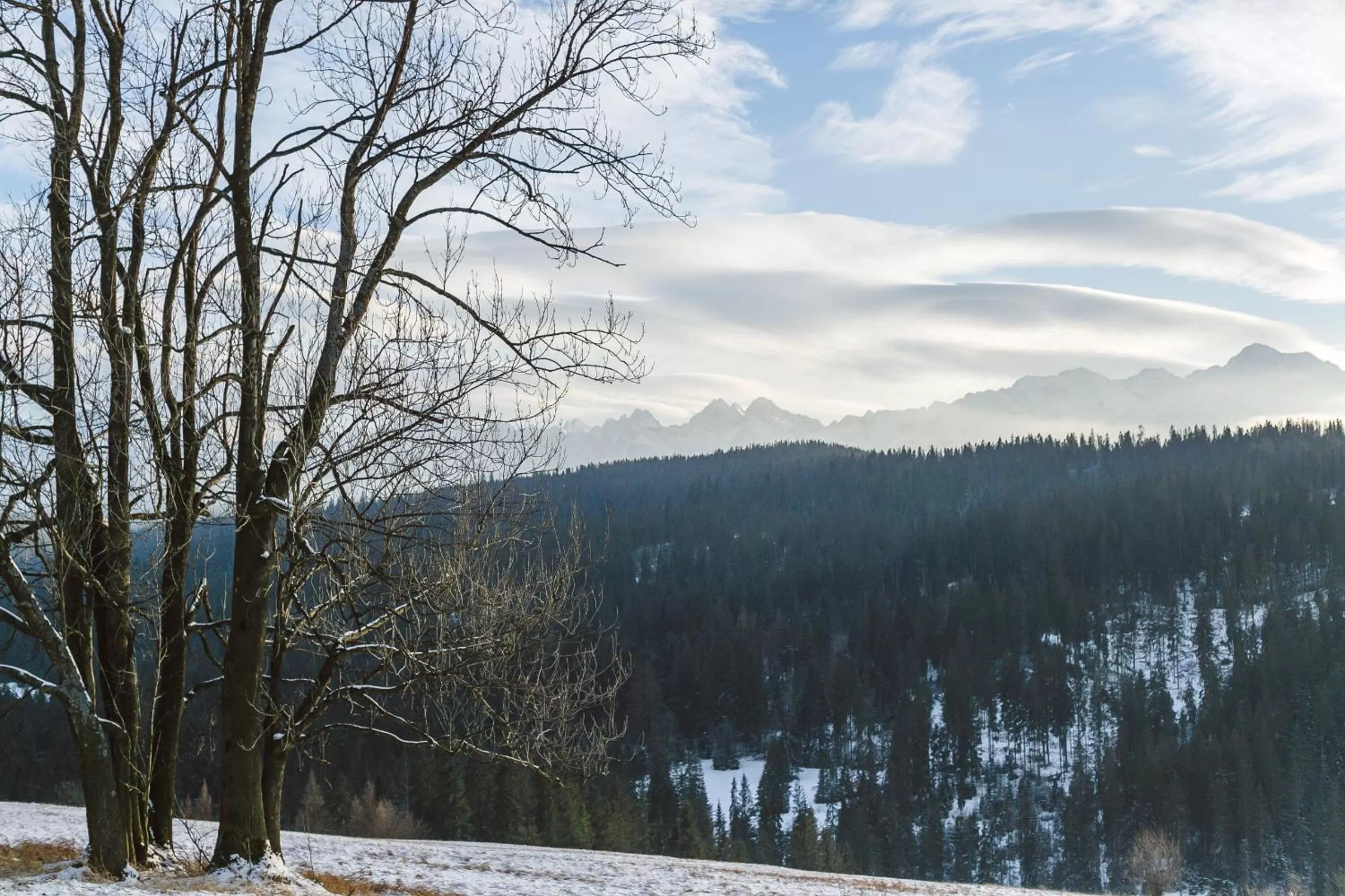 Mountain view in Górskie Wspomnienie
