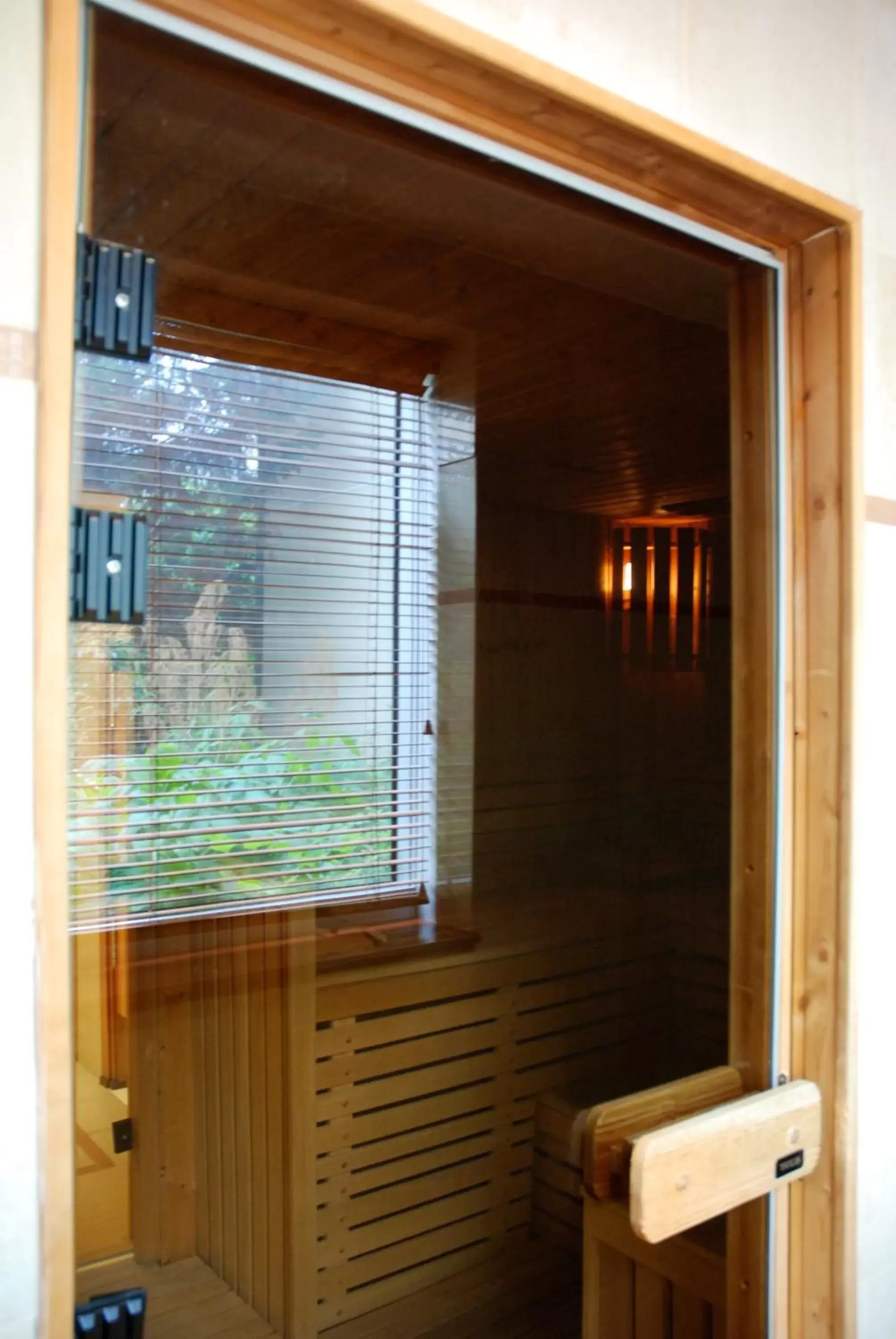 Sauna in Evergreen Laurel Hotel