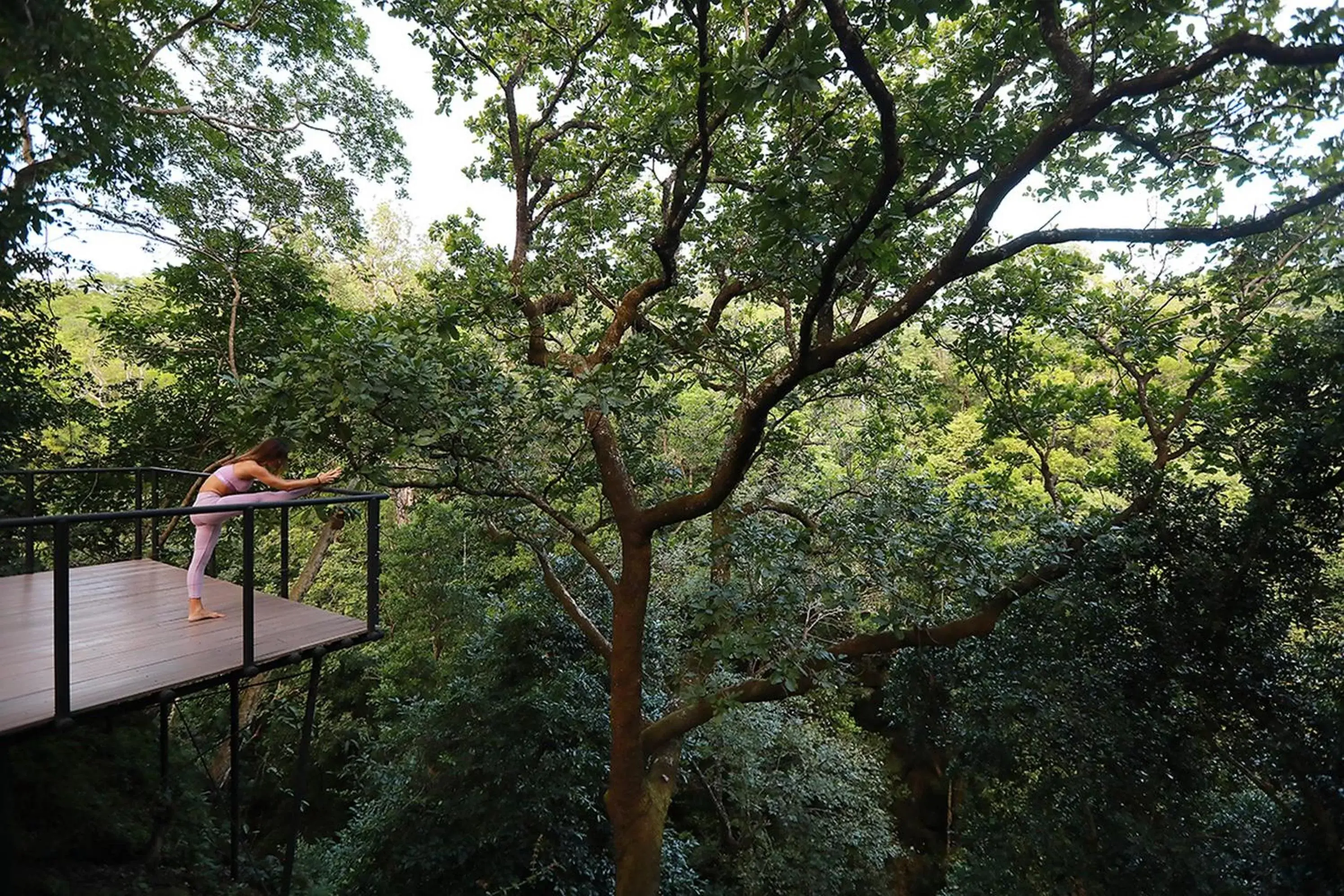 Garden view in Rio Perdido Hotel & Thermal River