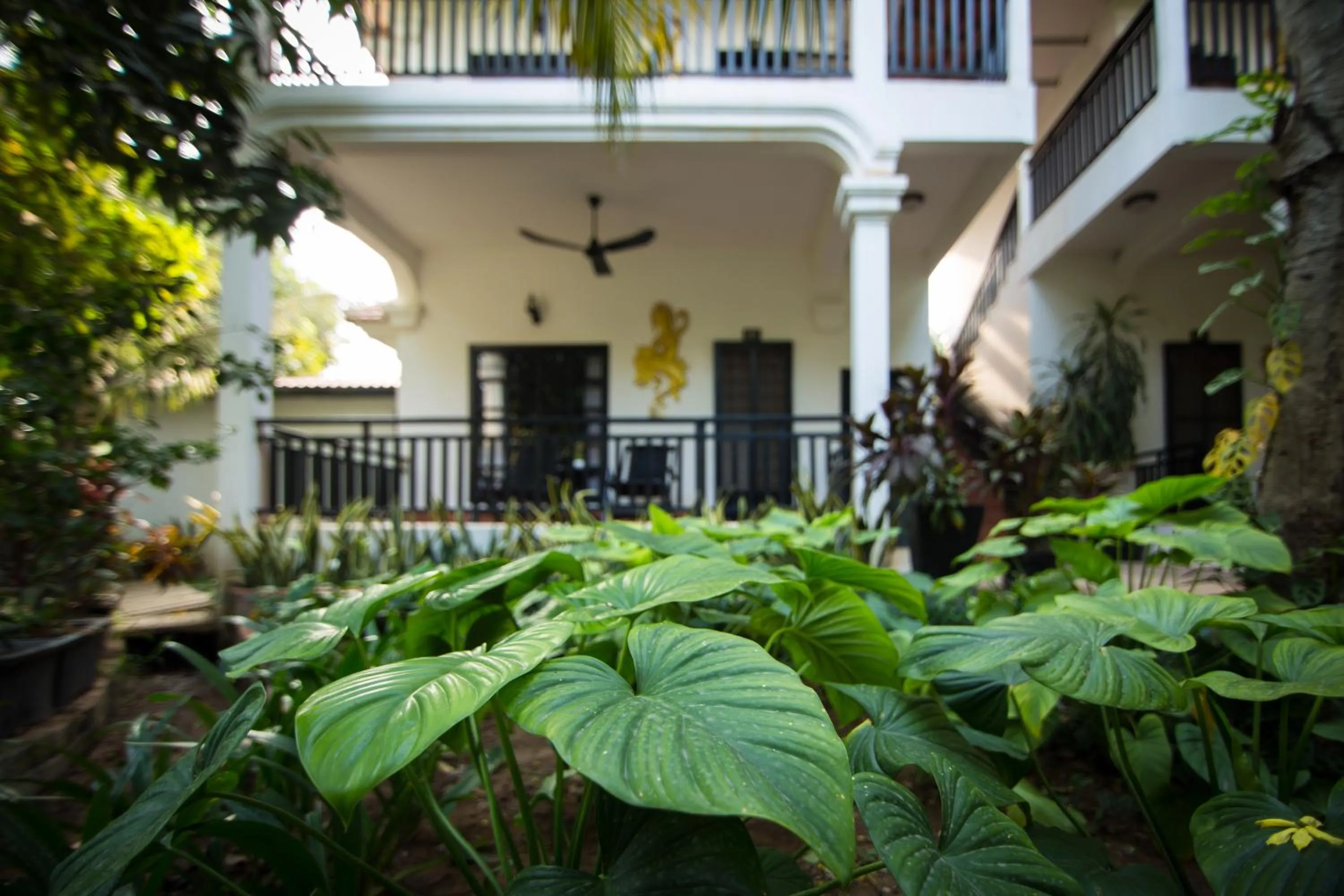 Garden view in Sonalong Boutique Village & Resort