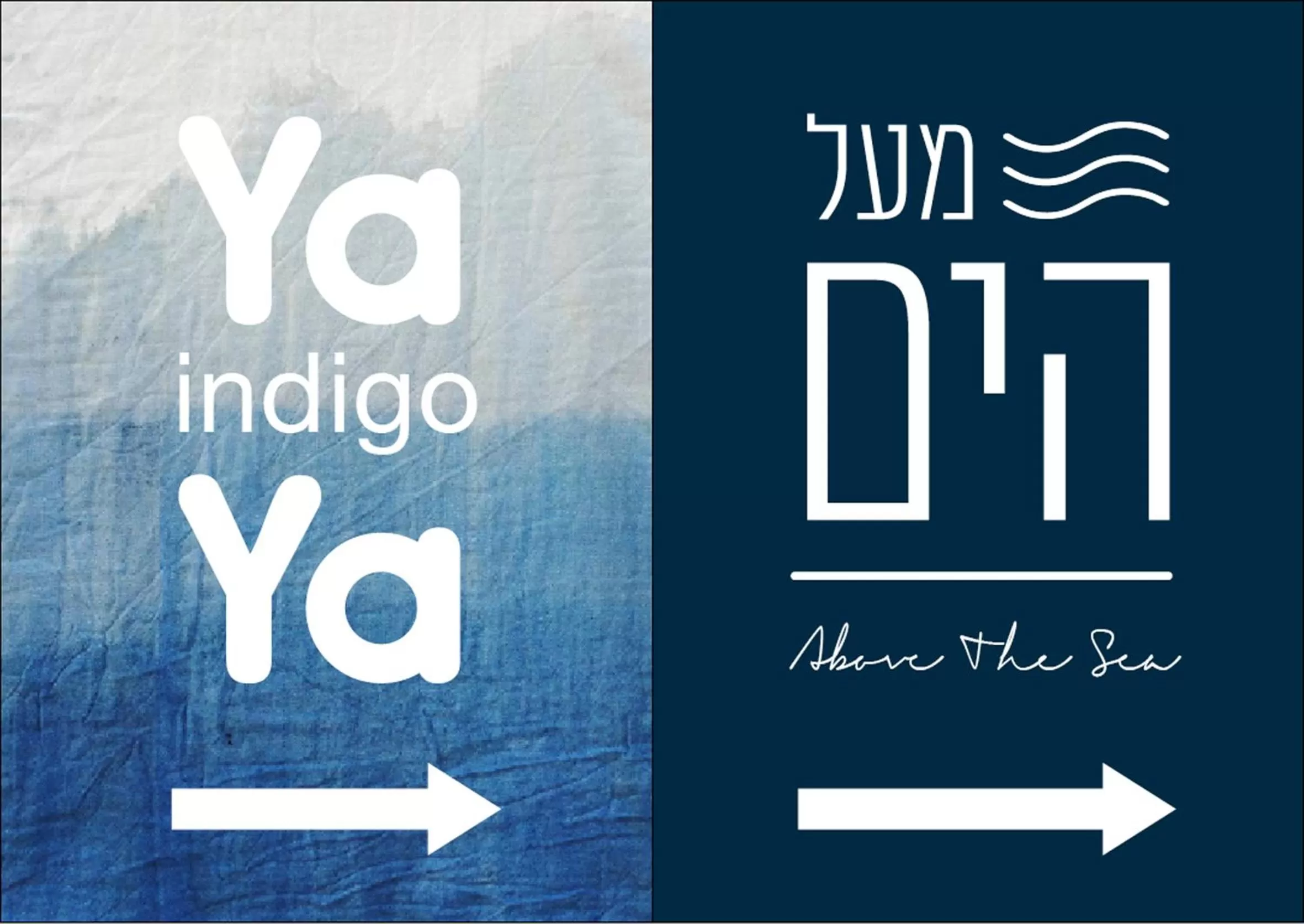 Property logo or sign in Above the Sea