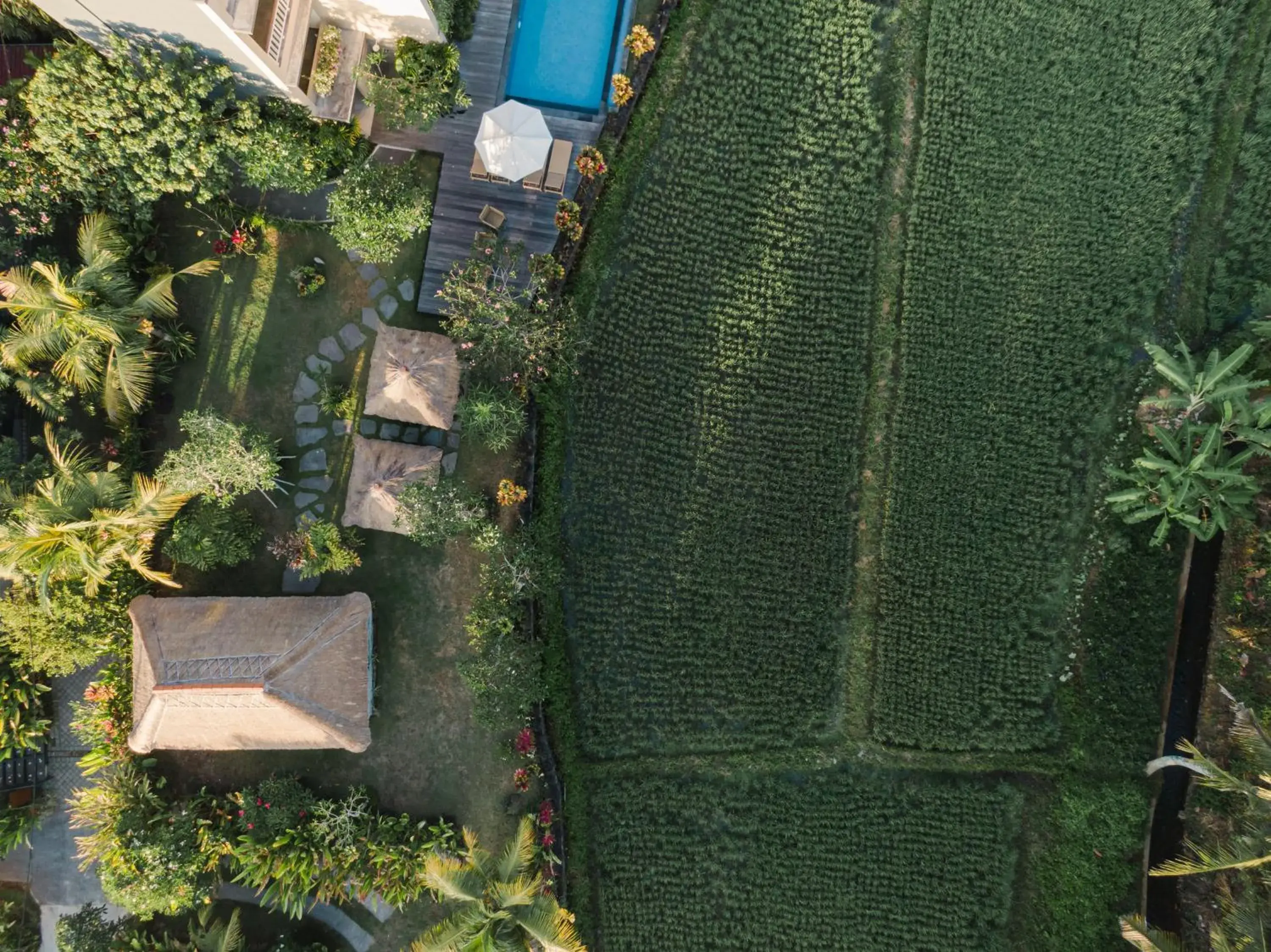 Natural landscape in Byasa Ubud Hotel