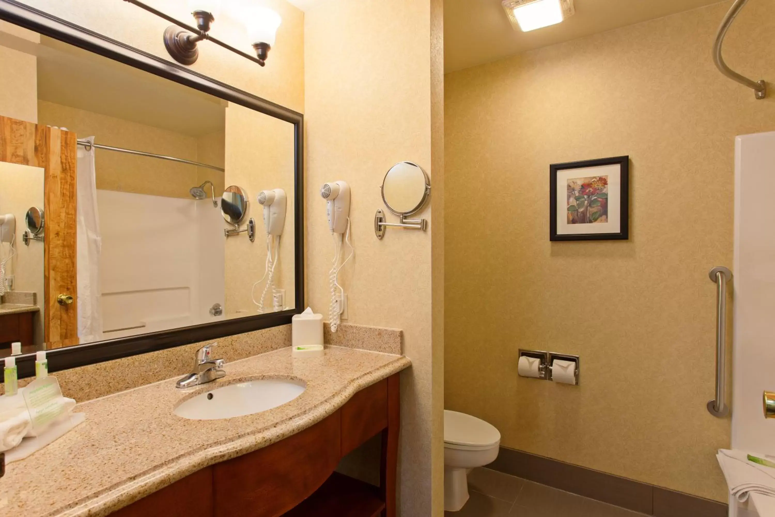 Bathroom in Holiday Inn Express Temecula, an IHG Hotel