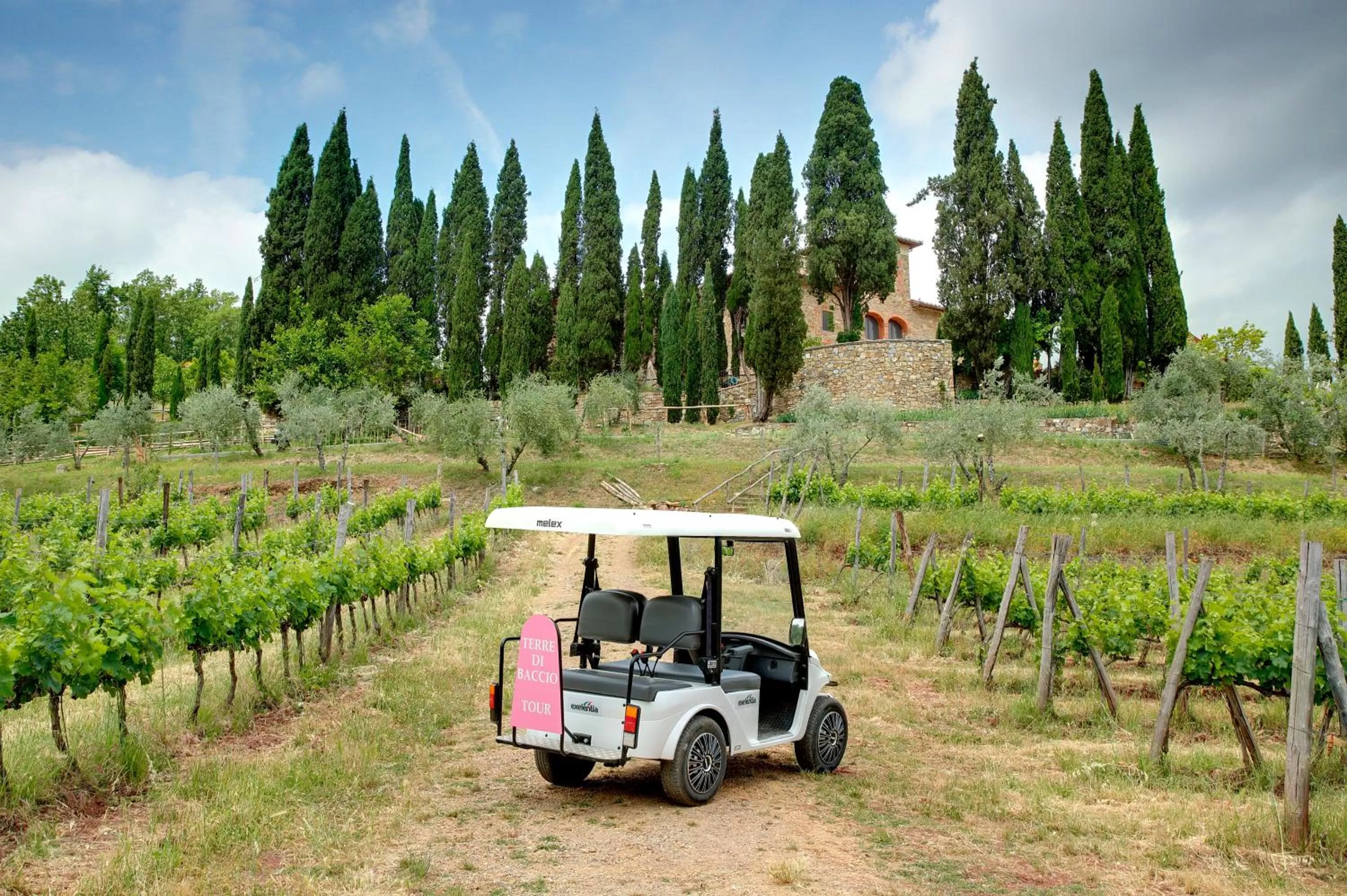 View (from property/room) in Terre di Baccio
