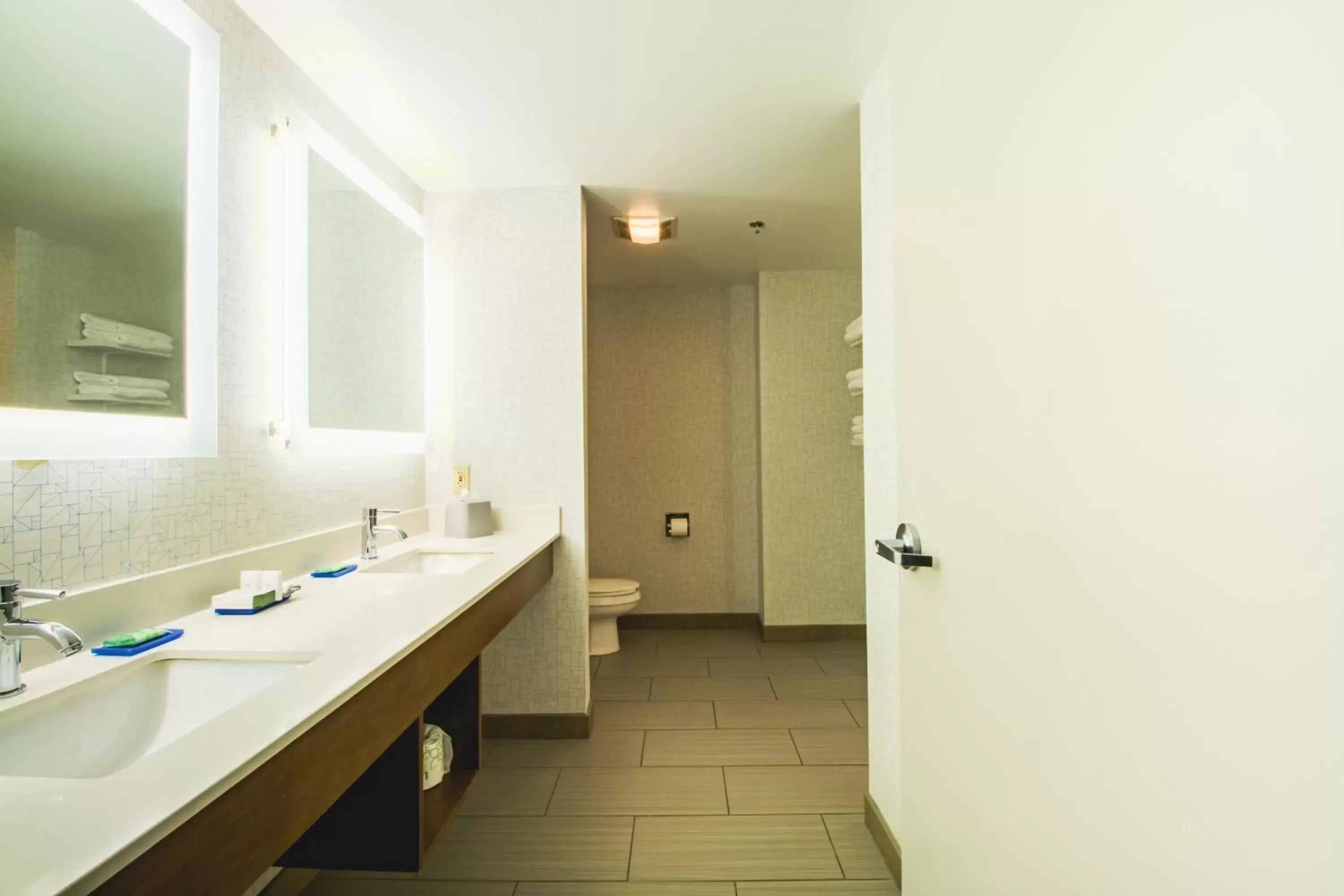 Bathroom in Holiday Inn Express & Suites - Lincoln East - White Mountains, an IHG Hotel