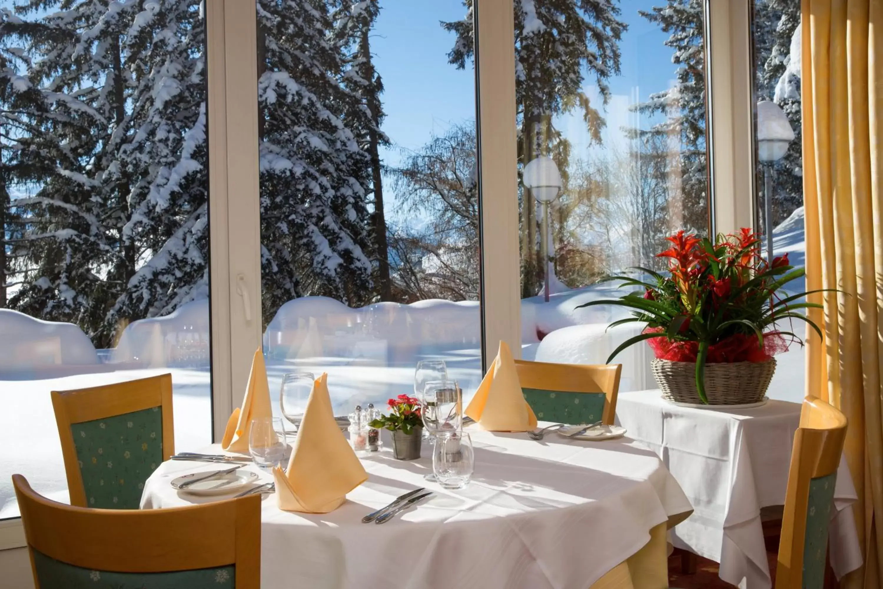 Food and drinks, Restaurant/Places to Eat in Hotel Helvetia Intergolf