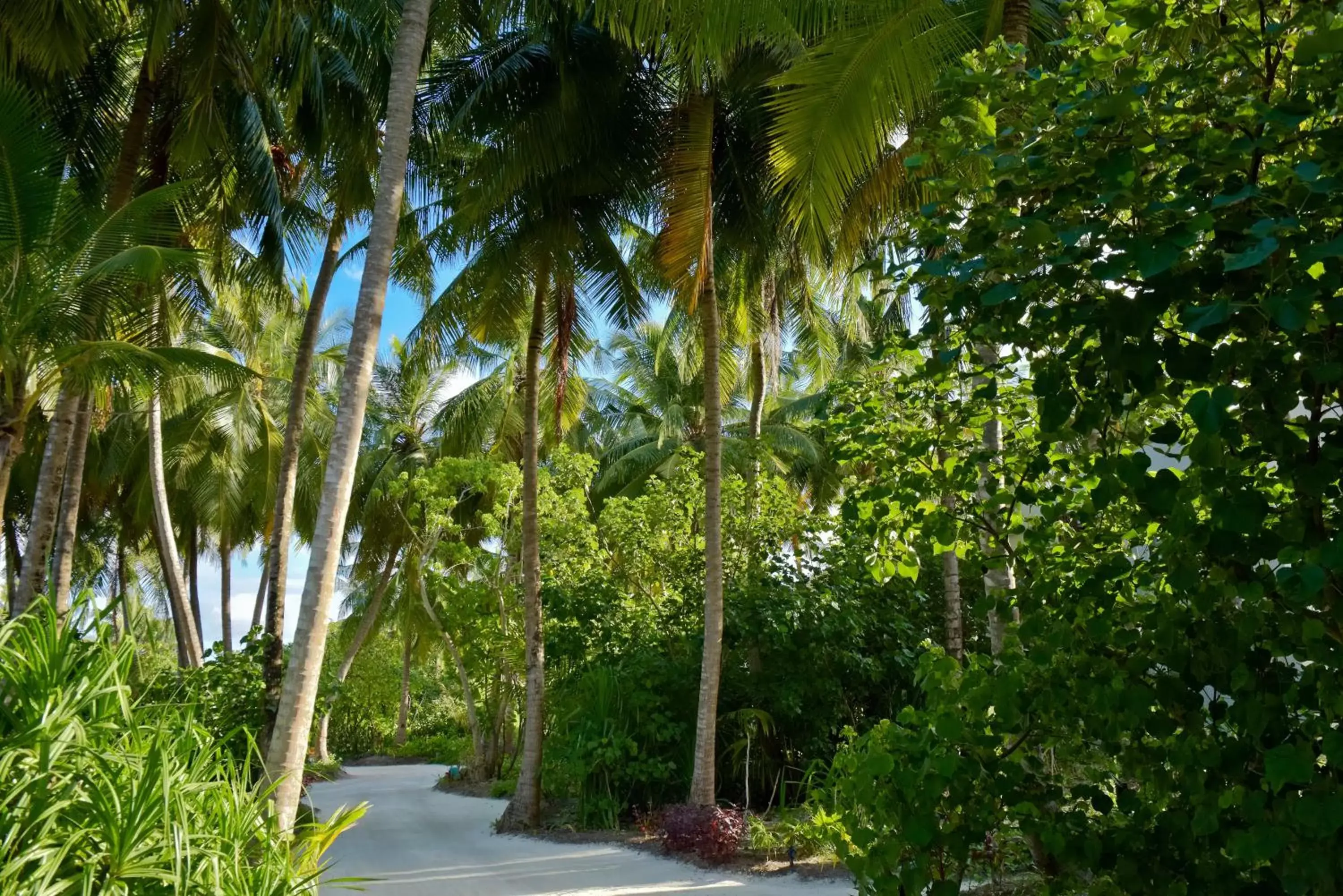 Garden in Kandima Maldives