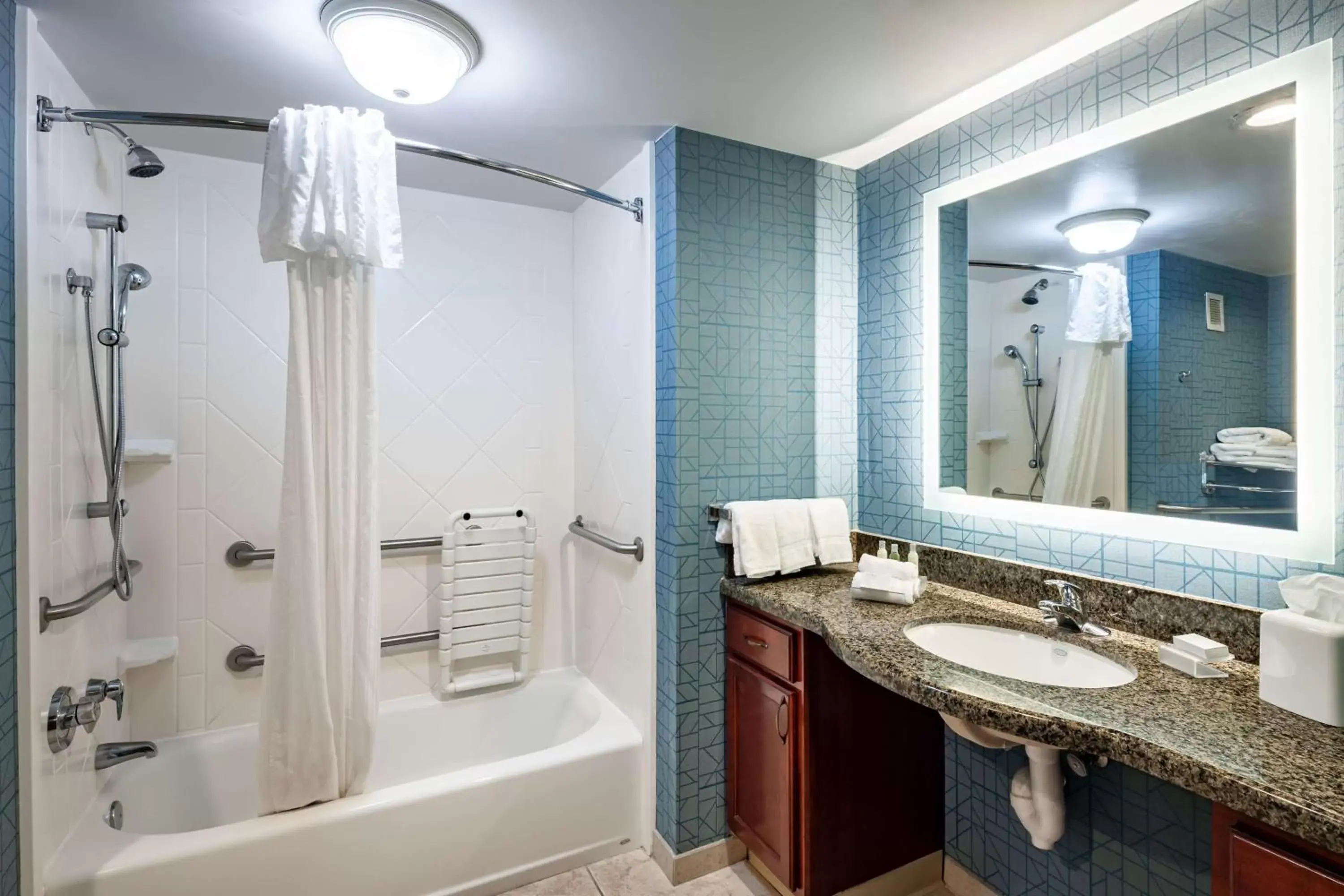 Bathroom in Homewood Suites by Hilton Gainesville