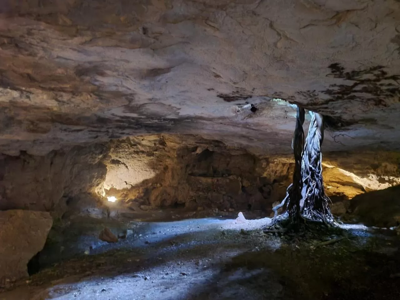 Natural landscape in Zenote Sanctuary