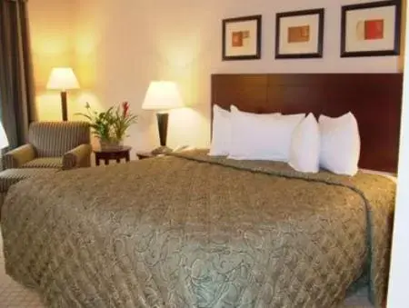 Bed in Holiday Inn Express Hotel & Suites Lafayette, an IHG Hotel