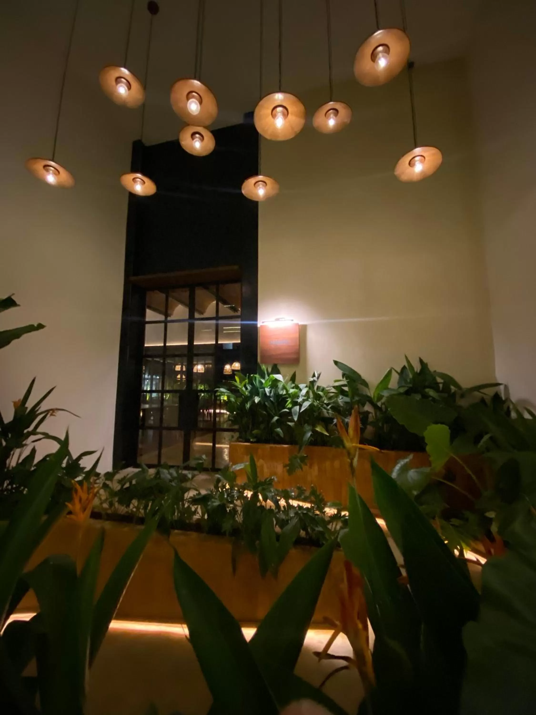 Restaurant/places to eat in Las Brisas Merida