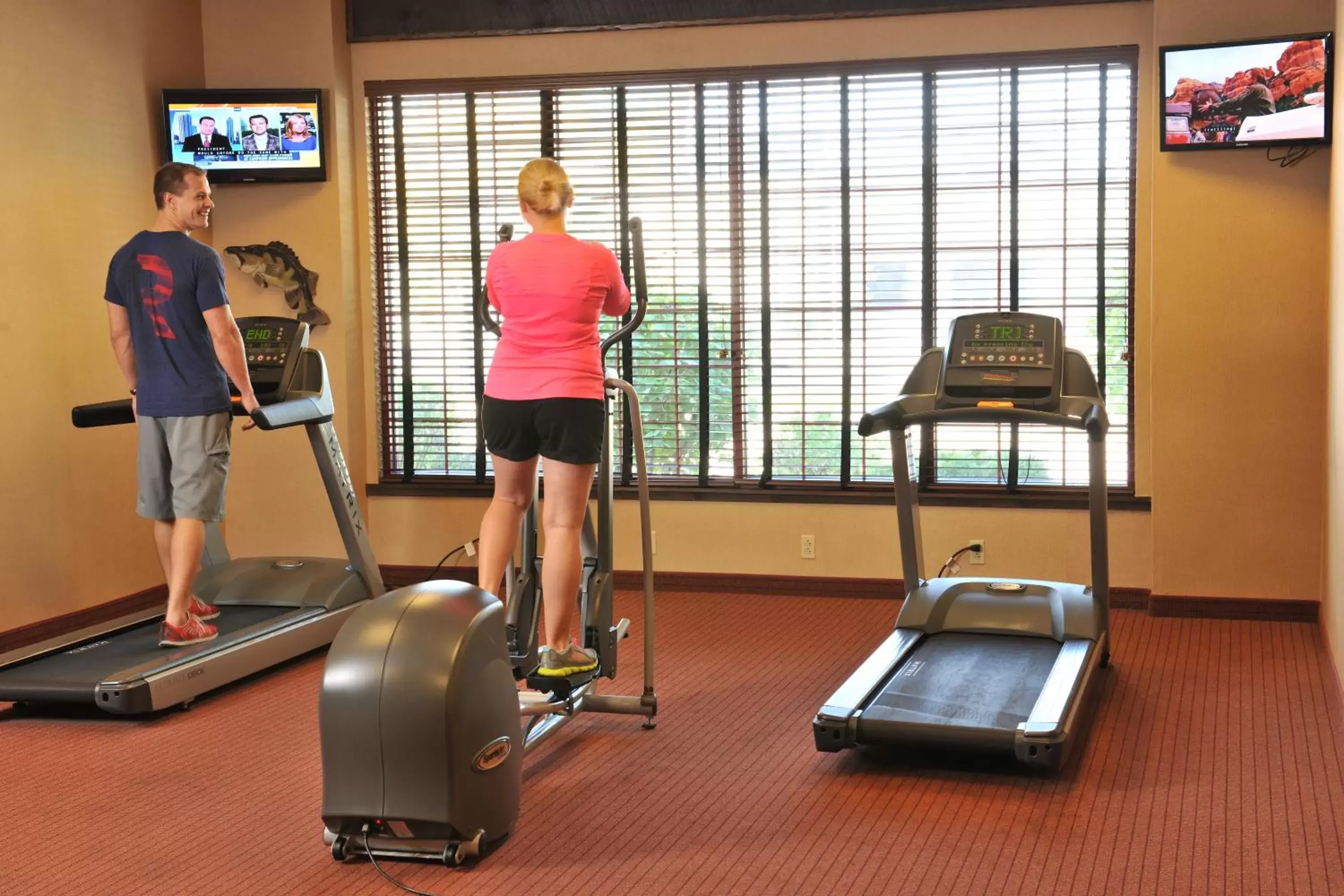 Fitness centre/facilities, Fitness Center/Facilities in Stoney Creek Hotel Moline