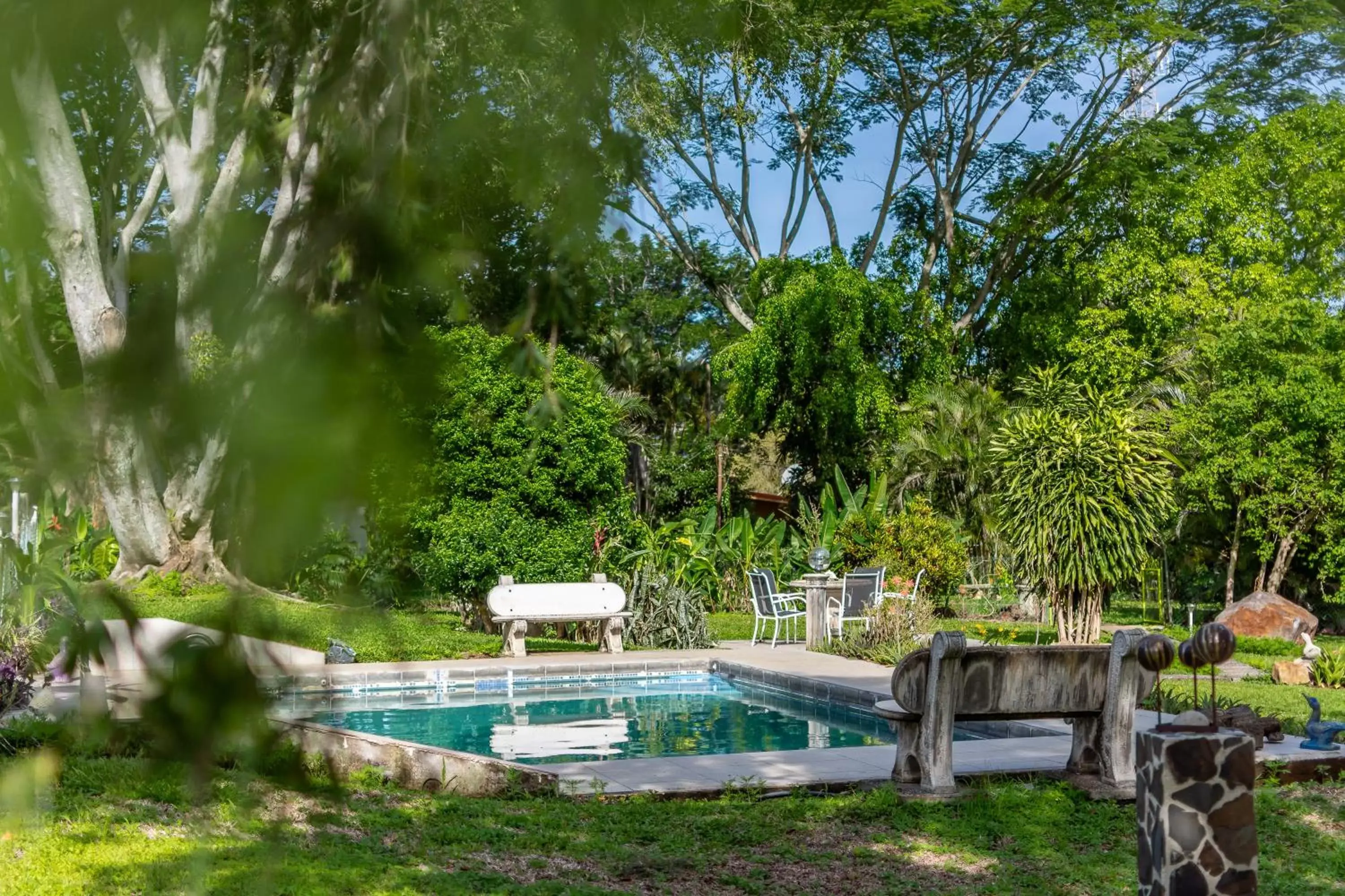 Garden, Swimming Pool in Villa Margarita