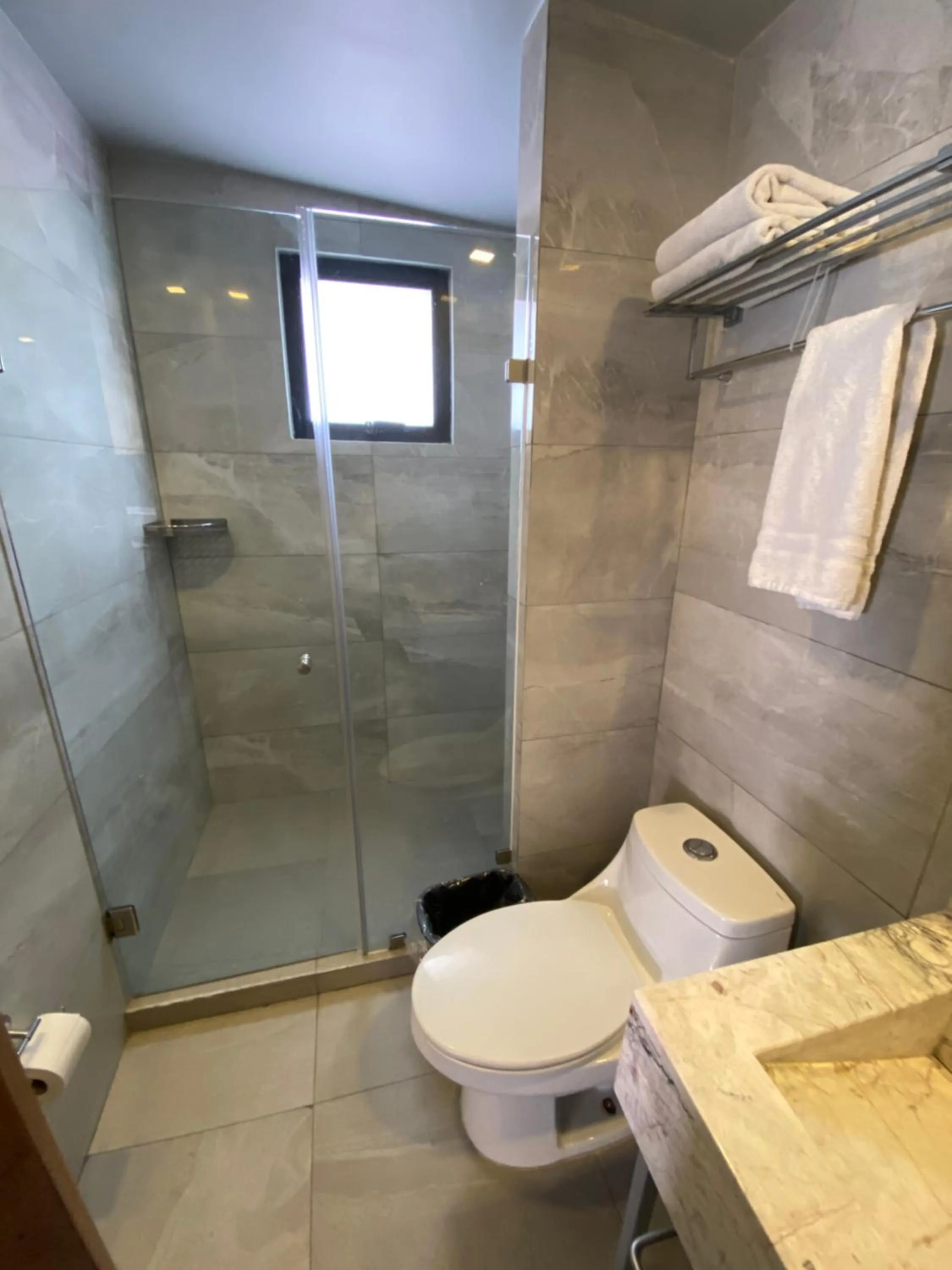 Shower in Suites Lerma 205