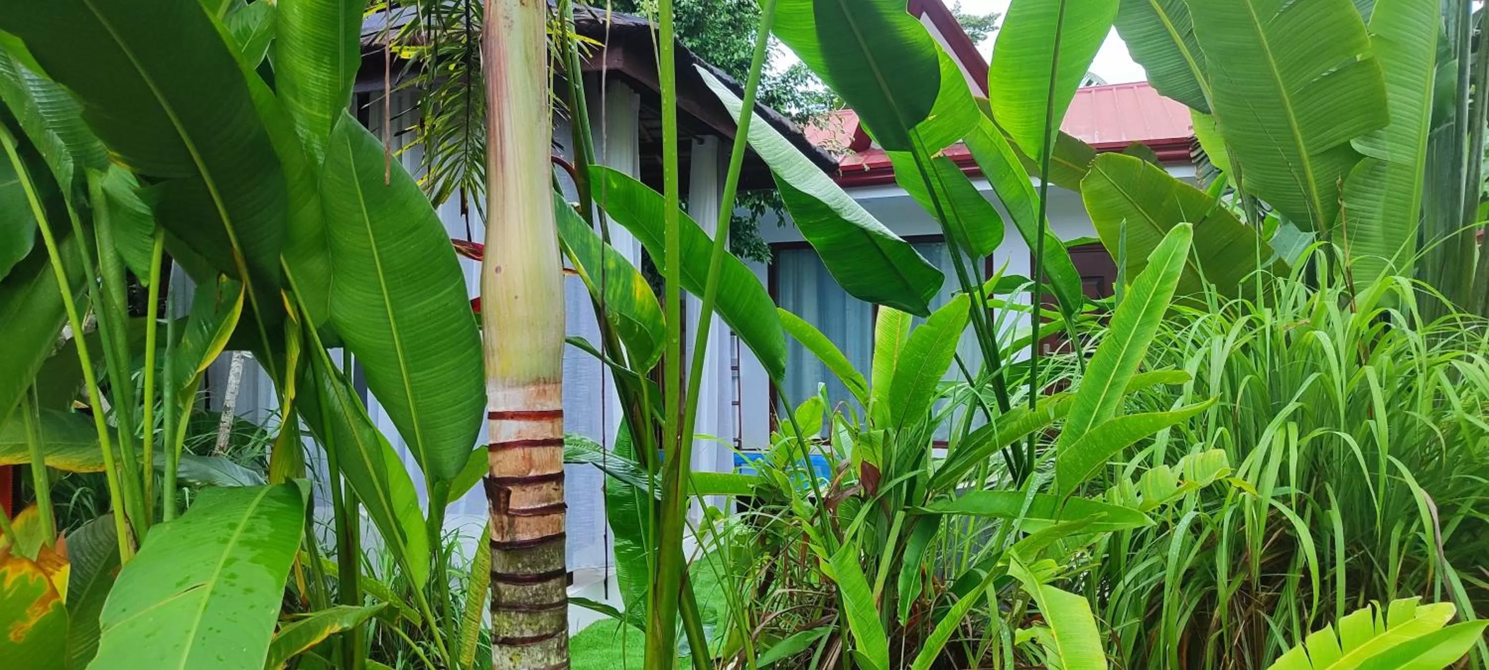 Garden view in Carpe Diem Villas & Resort