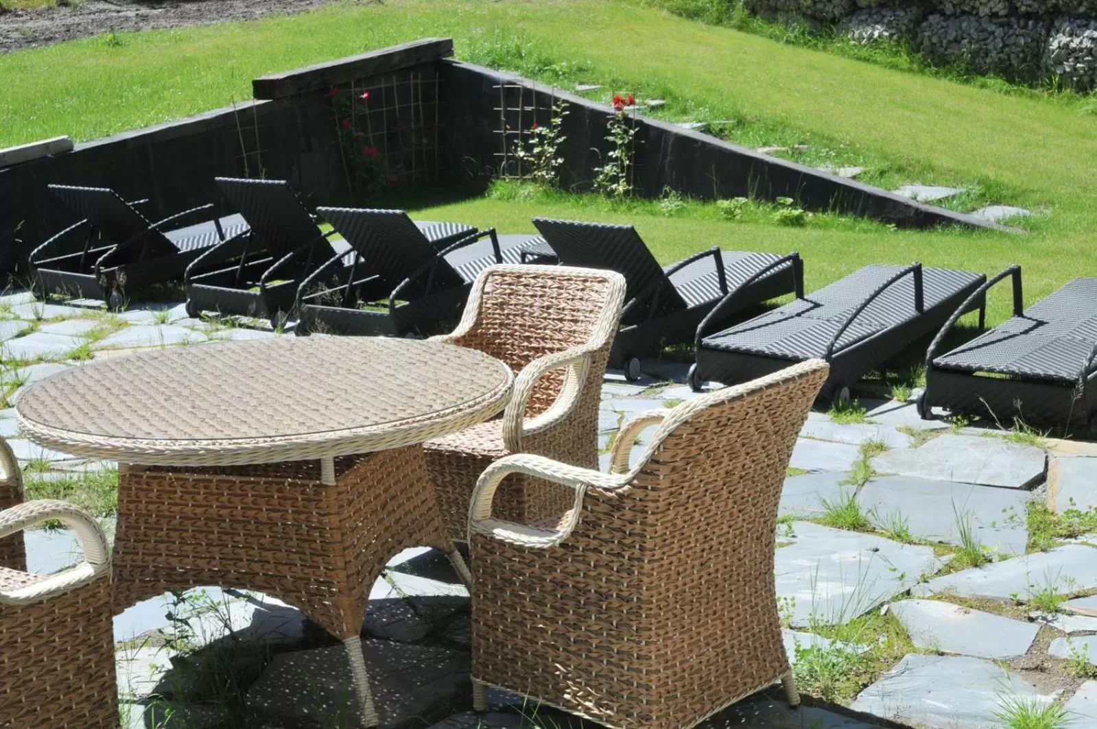 Garden in Boutique Hotel Sudetia - Medical & SPA