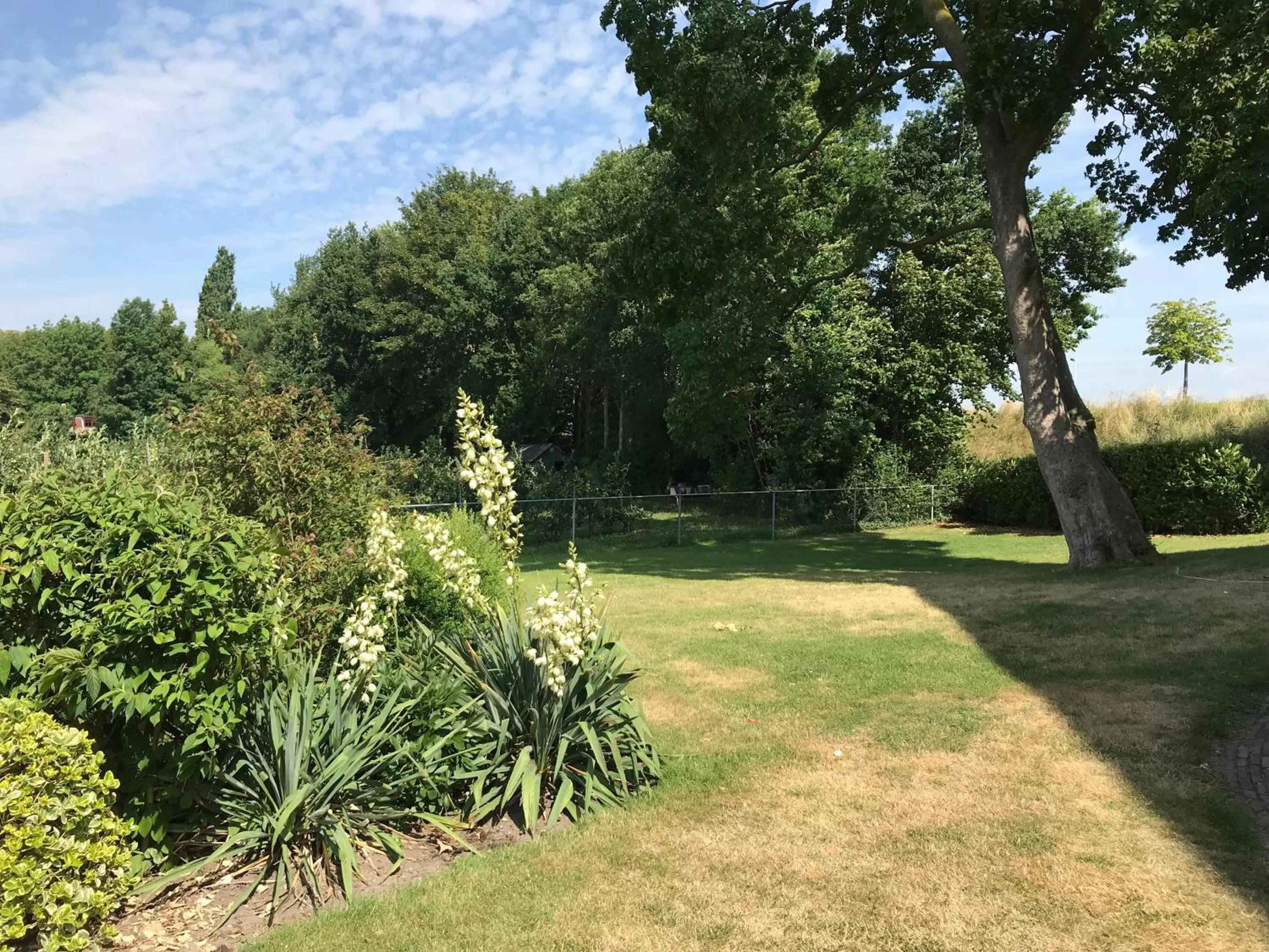 Garden in De Gouden Molen