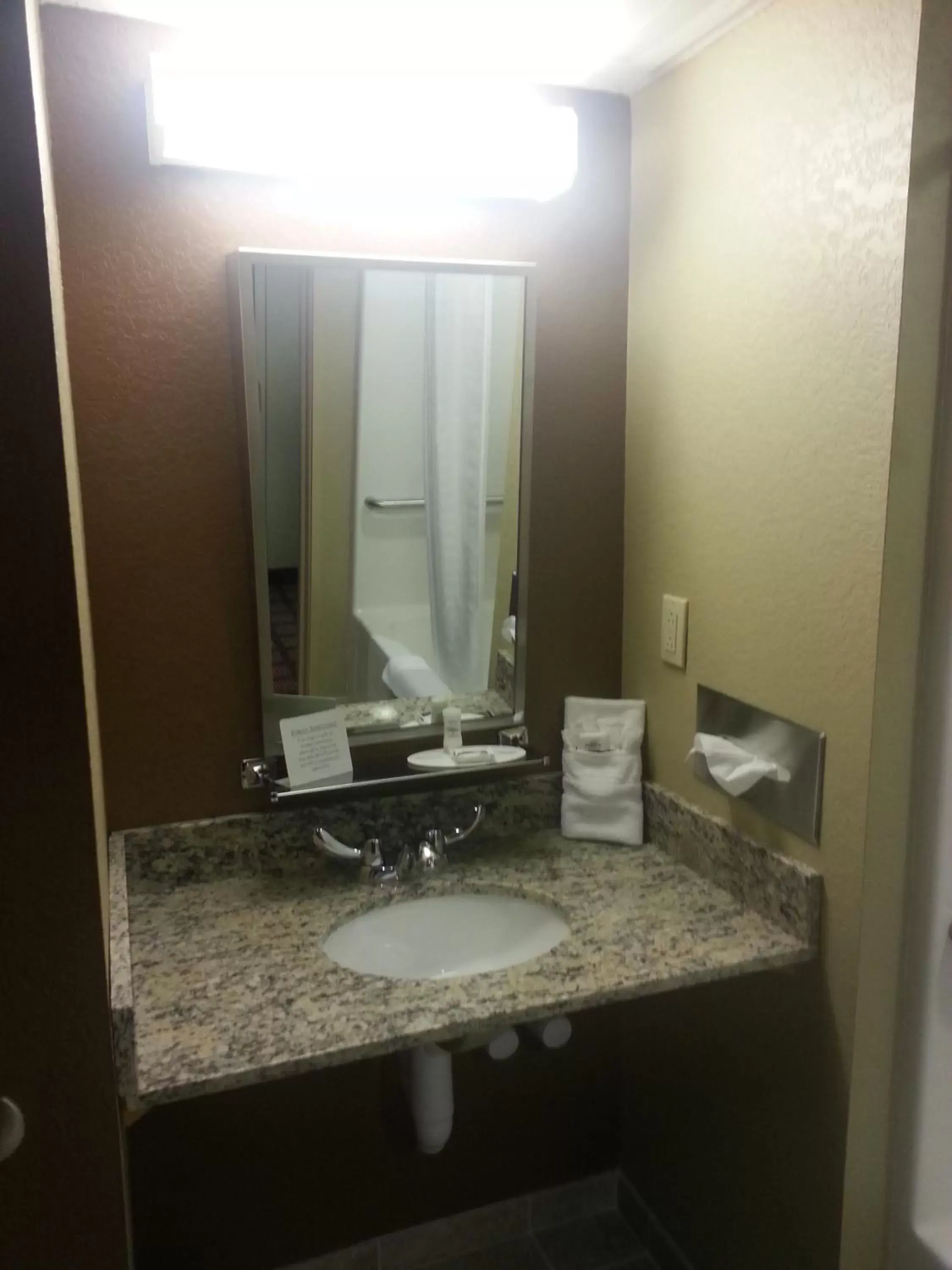 Bathroom in Microtel Inn and Suites Carrollton