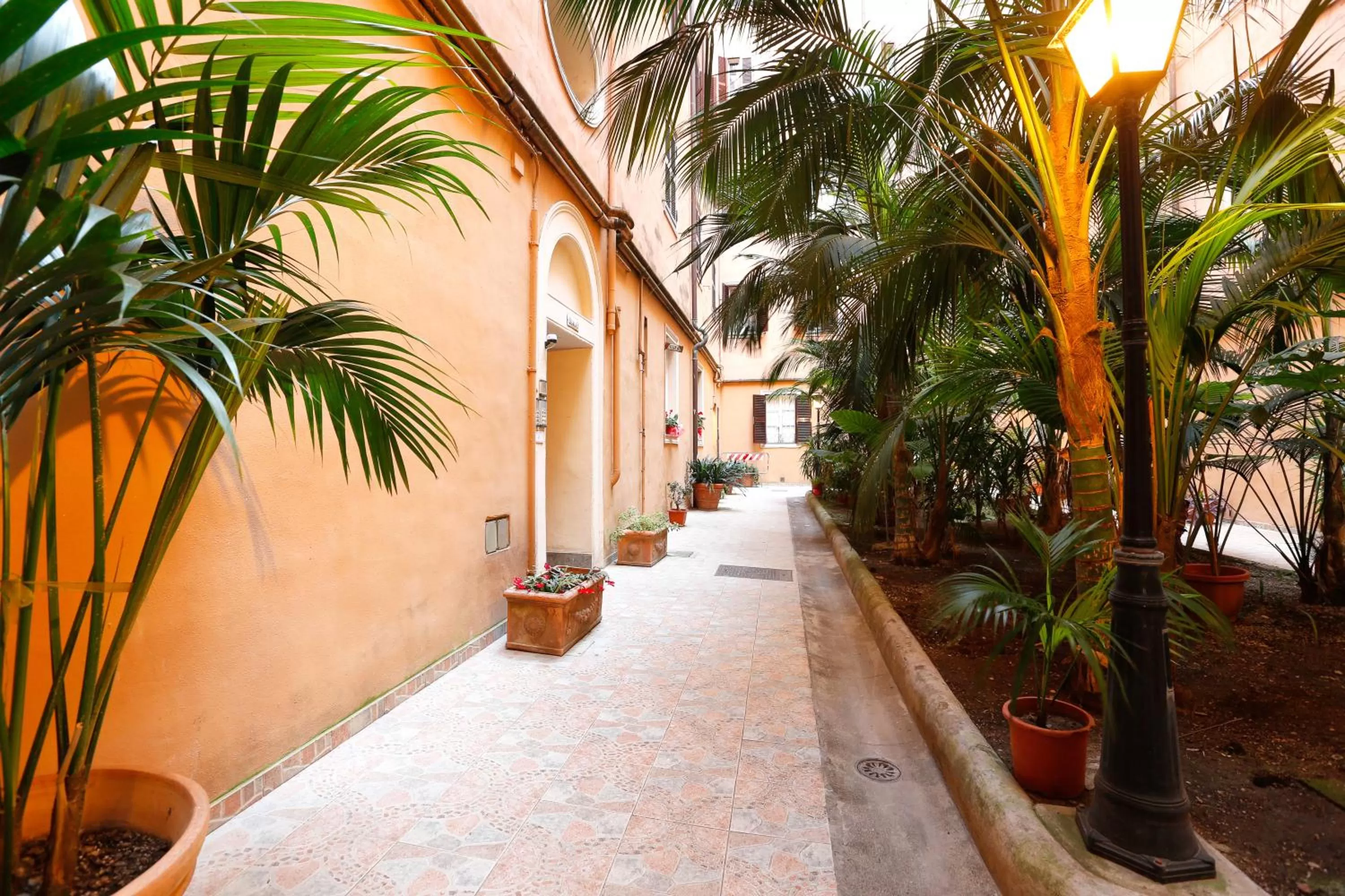 Garden in Vanella Rome Domus