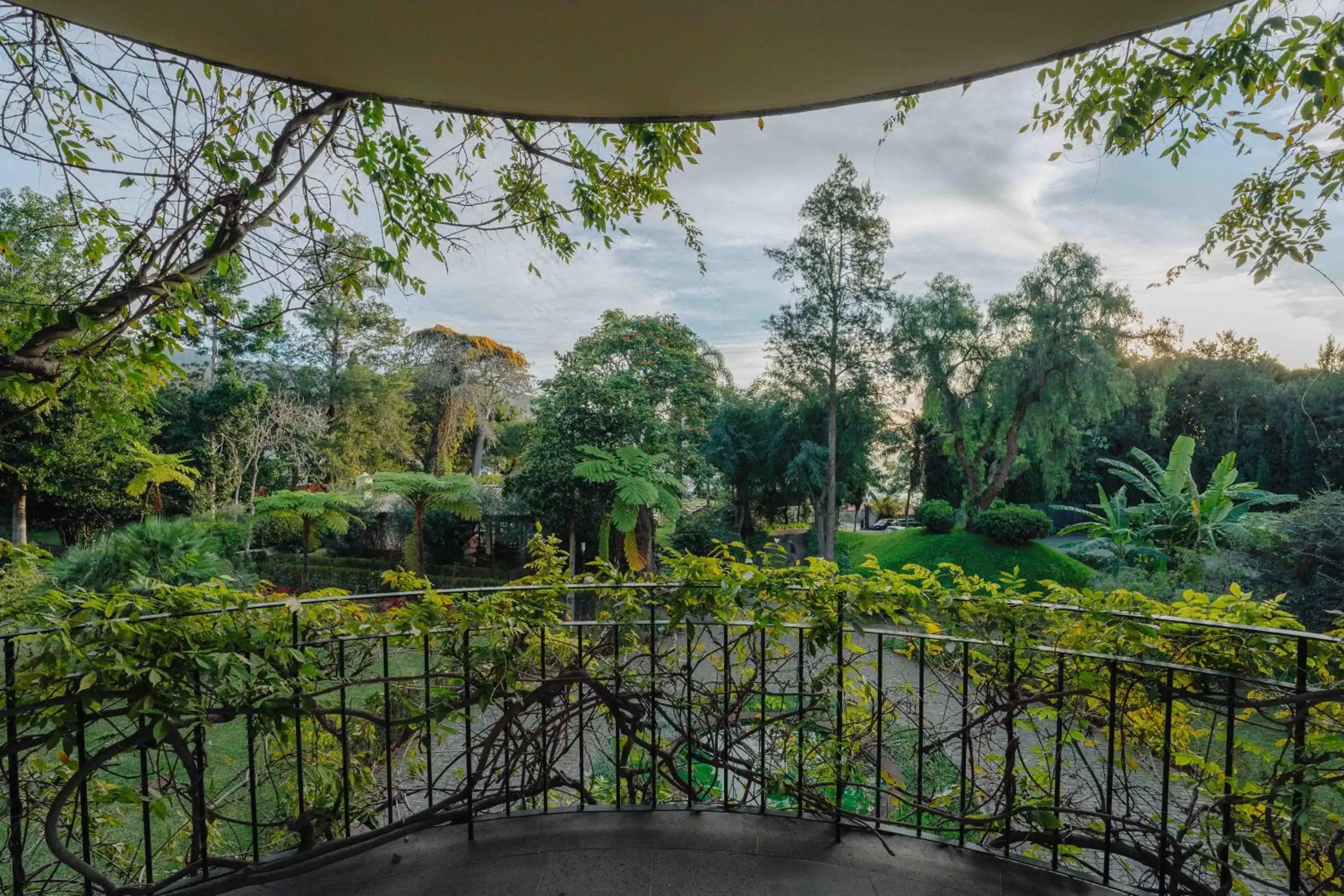 Garden view in Quinta da Bela Vista