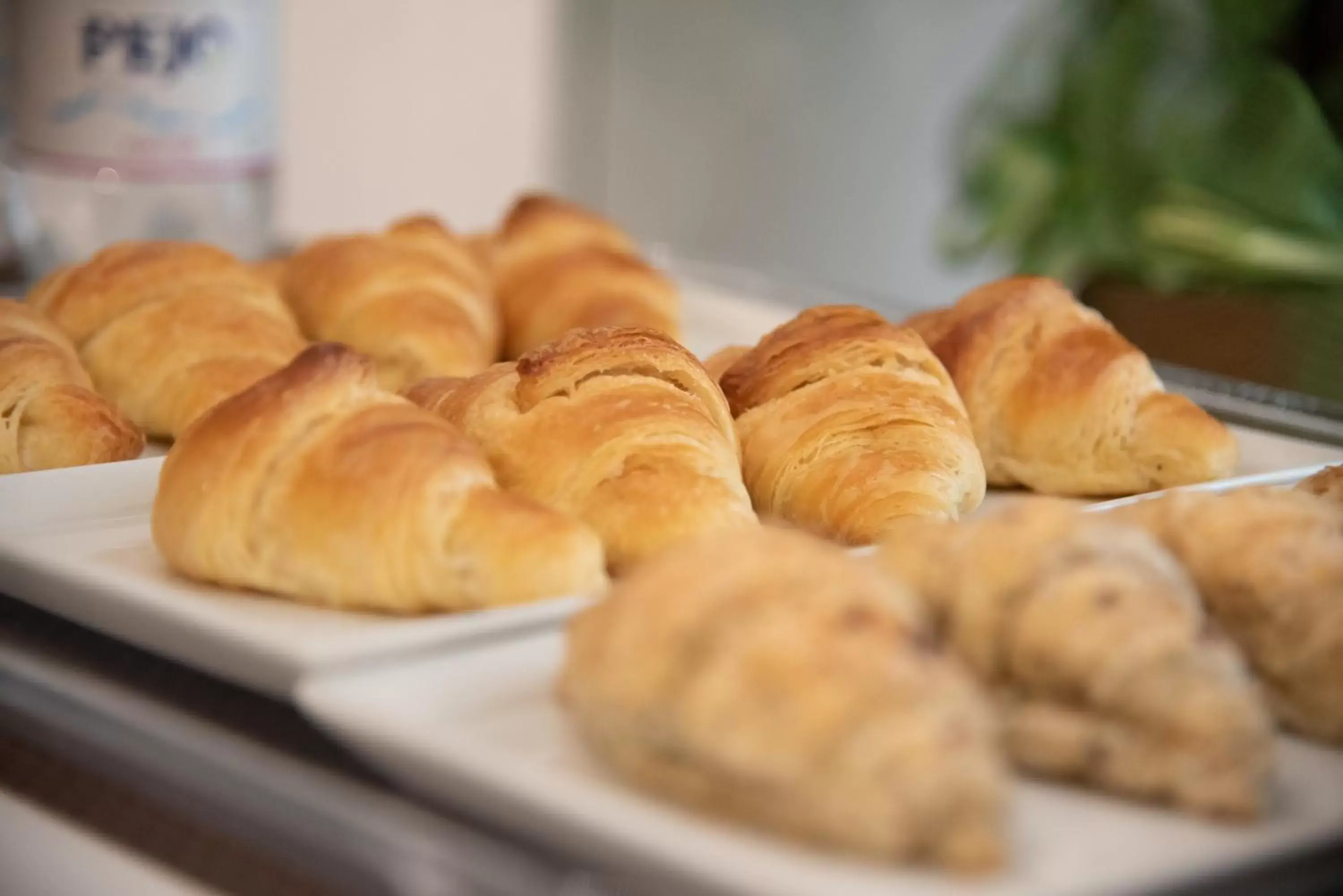 Continental breakfast, Food in Casa Ercoli B&B