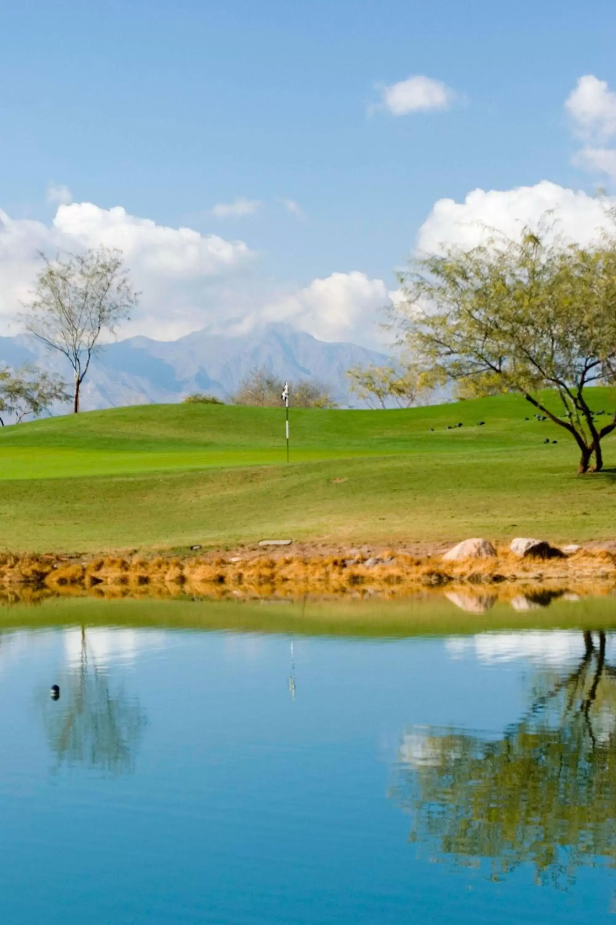 Golfcourse, Natural Landscape in Sheraton Grand at Wild Horse Pass