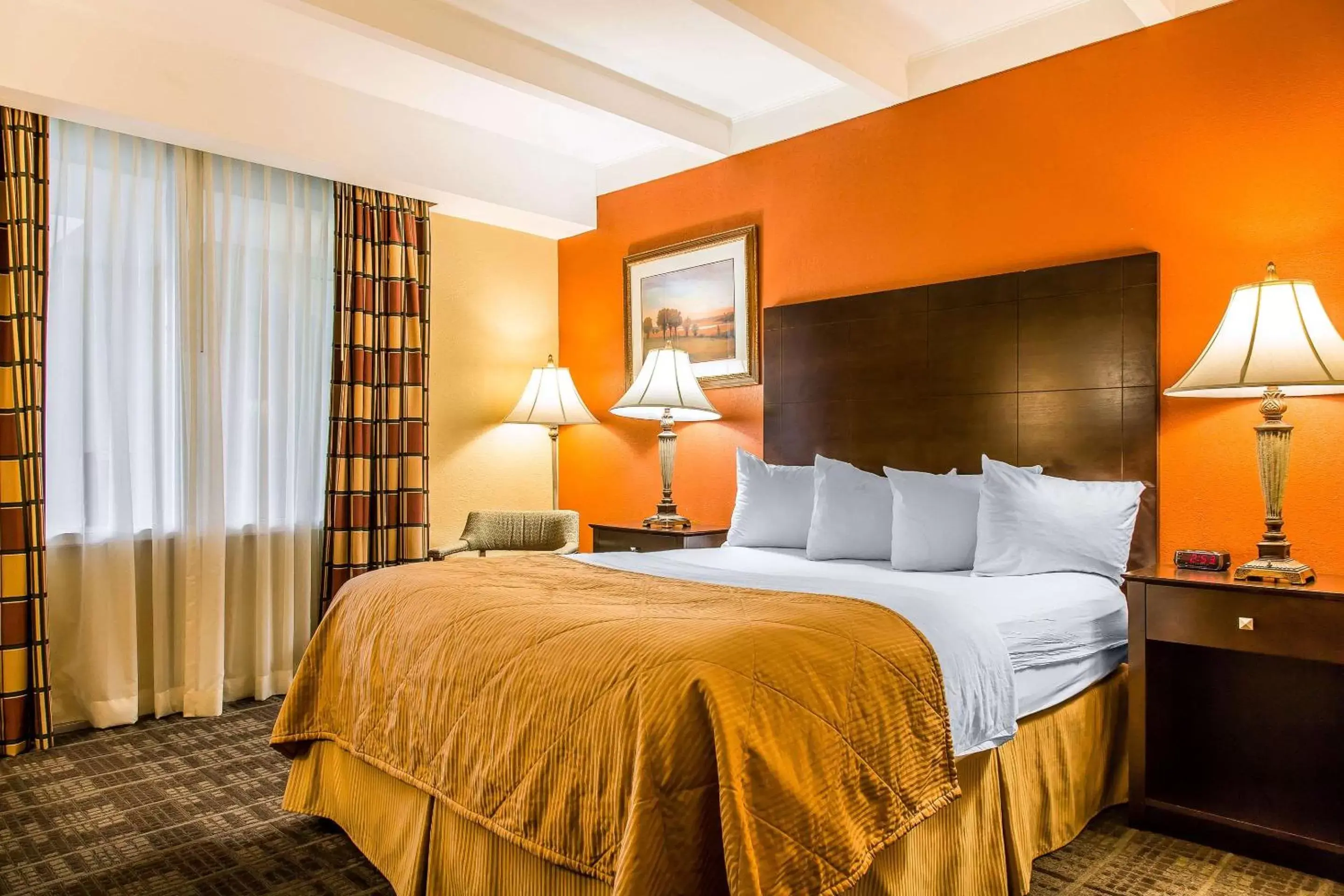 Photo of the whole room in Clarion Hotel & Suites Hamden - New Haven Photo of the whole room in Clarion Hotel & Suites Hamden - New Haven