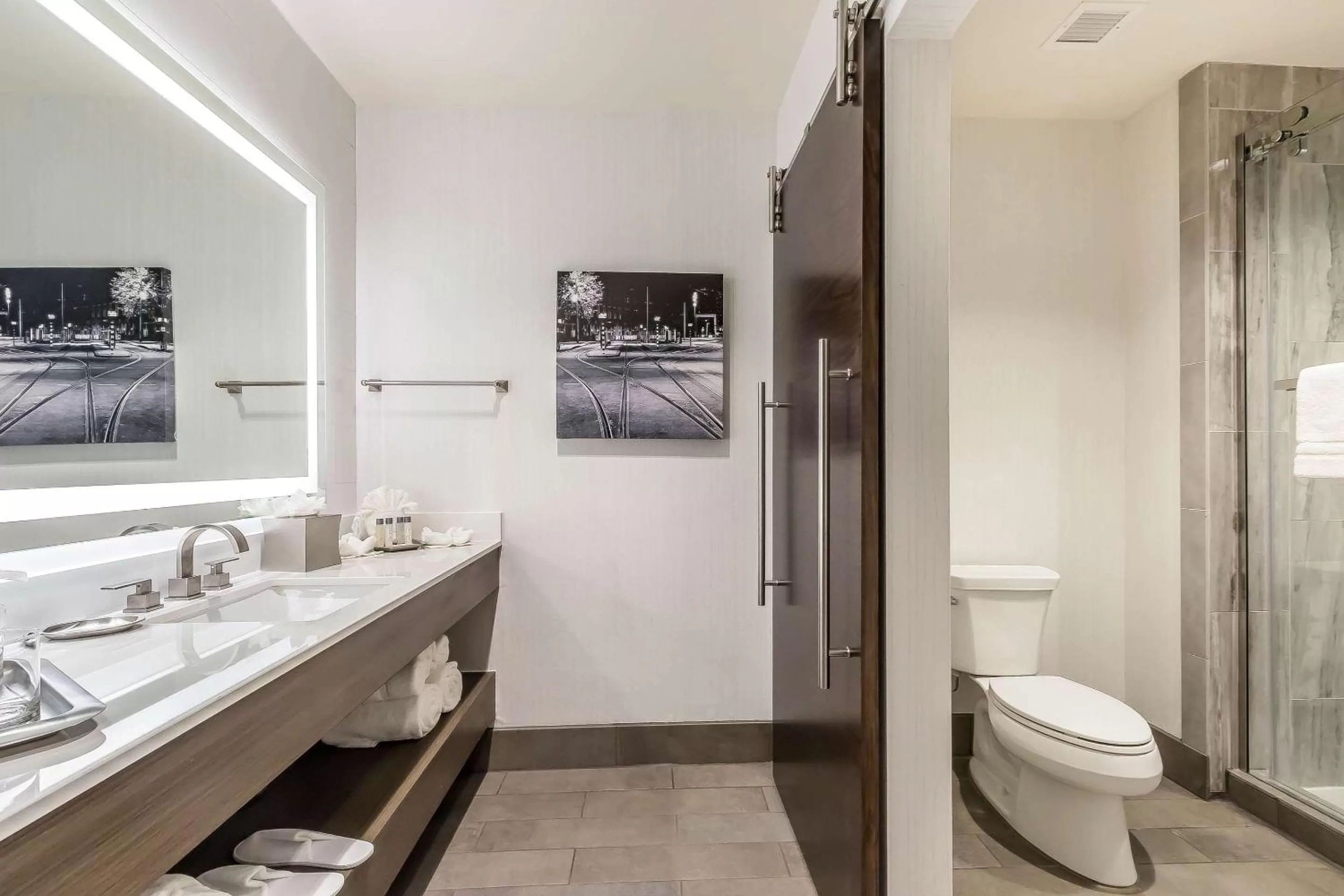 King Suite with Sofa Bed and Roll-in Shower - Accessible/Non-Smoking in Hotel Napoleon, Ascend Hotel Collection