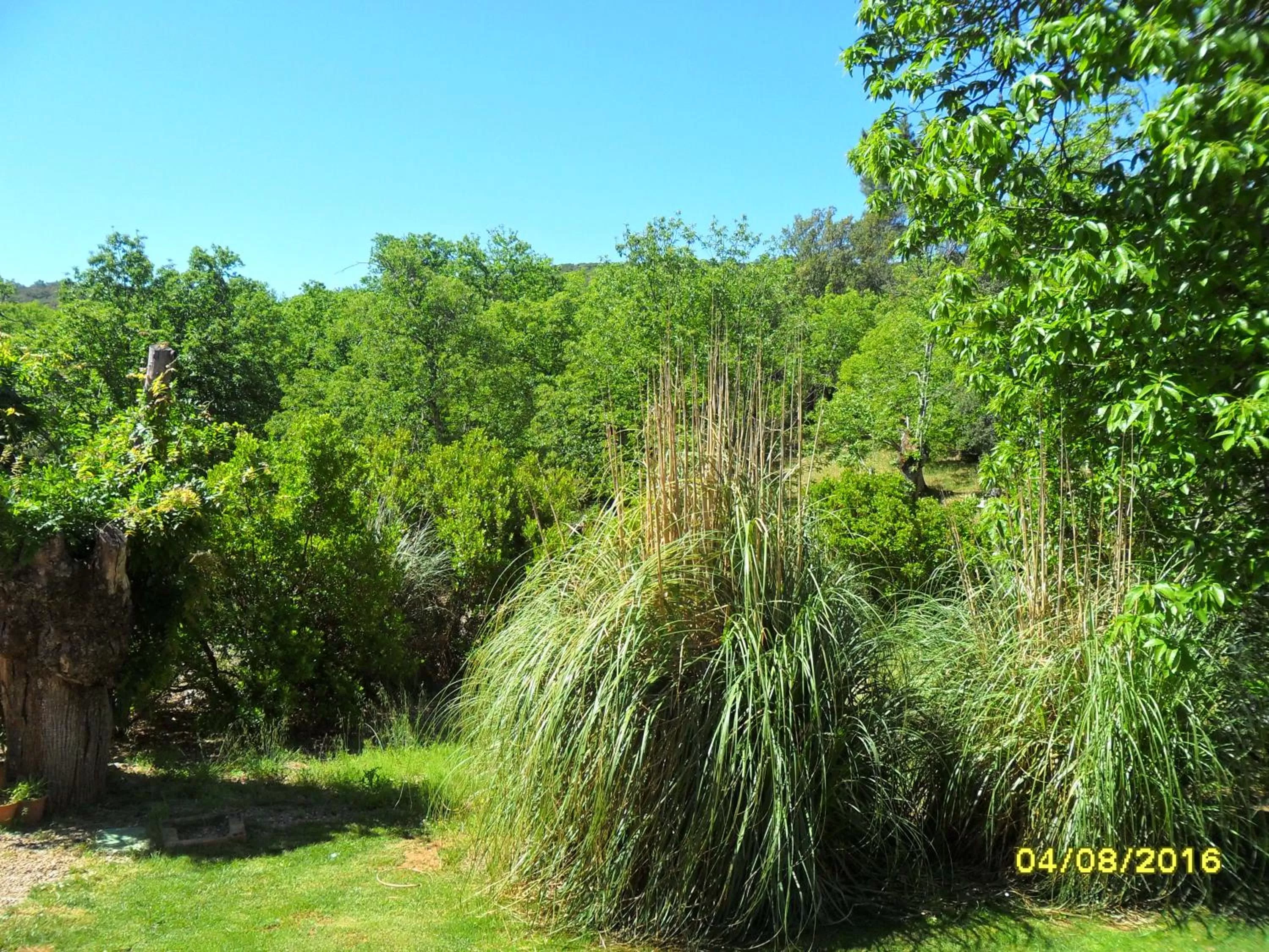 Natural landscape in Hotel Apartamento Rural Finca La Media Legua