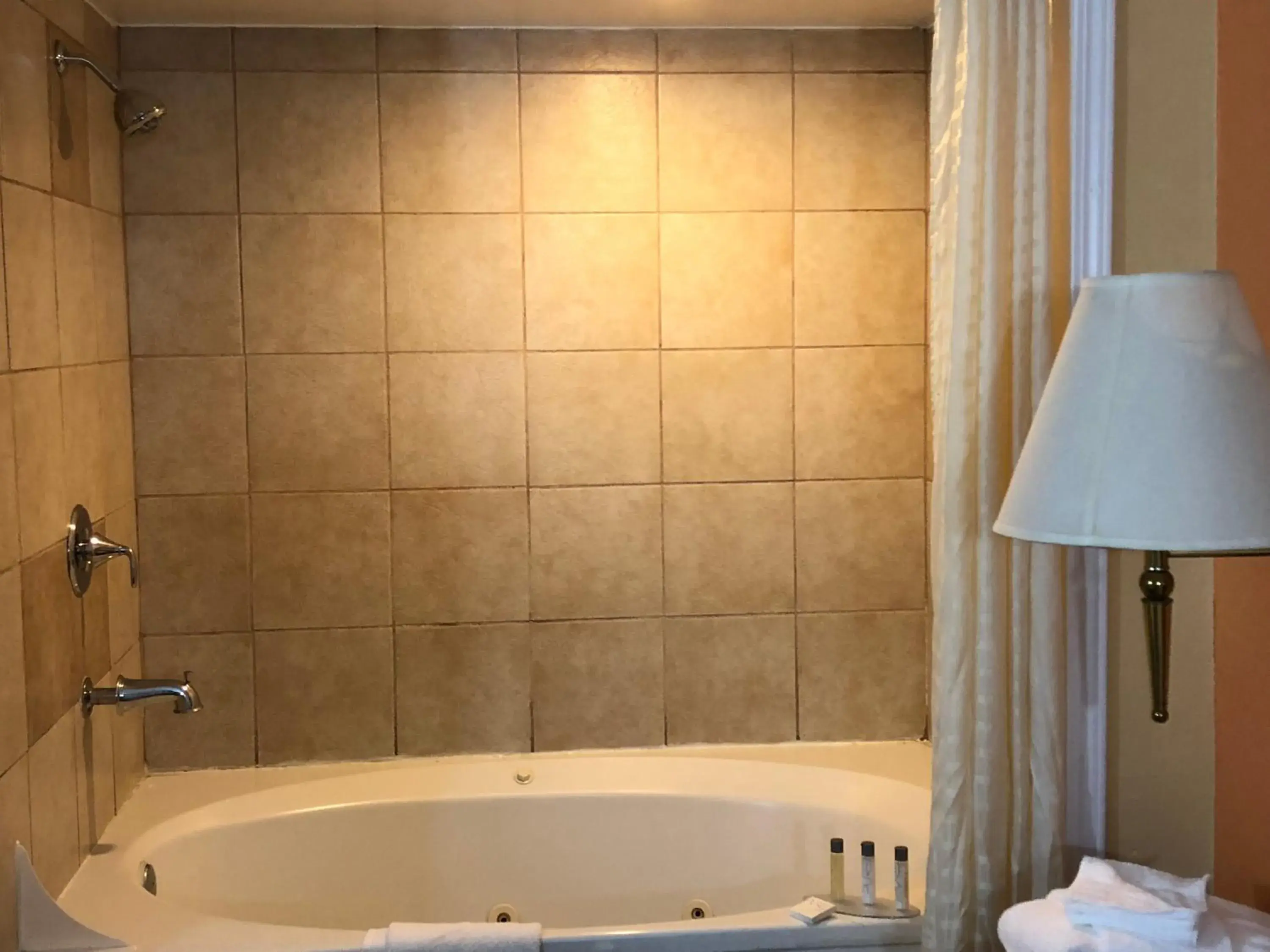 Shower, Bathroom in Alpine Inn & Spa