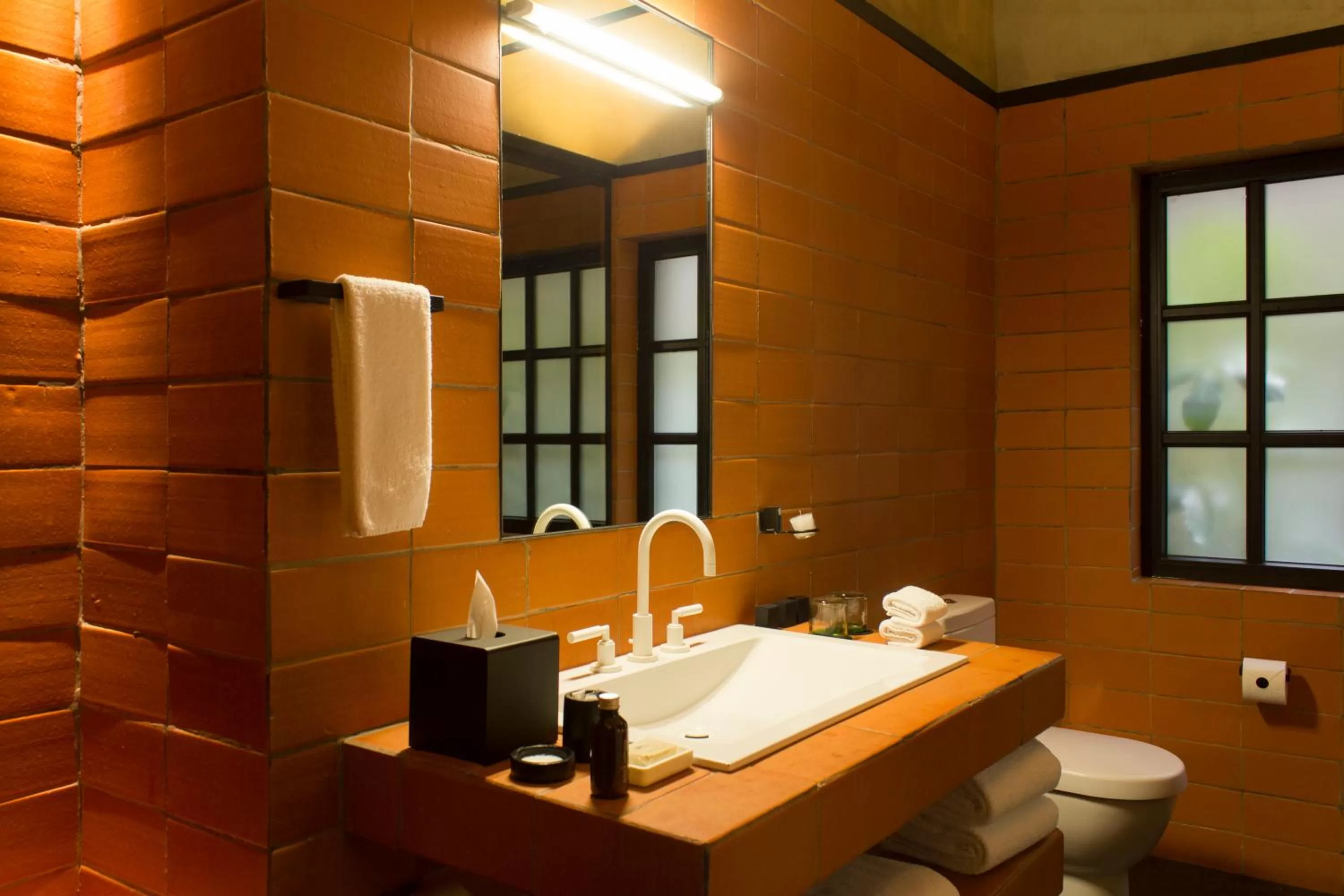 Bathroom in Downtown Mexico