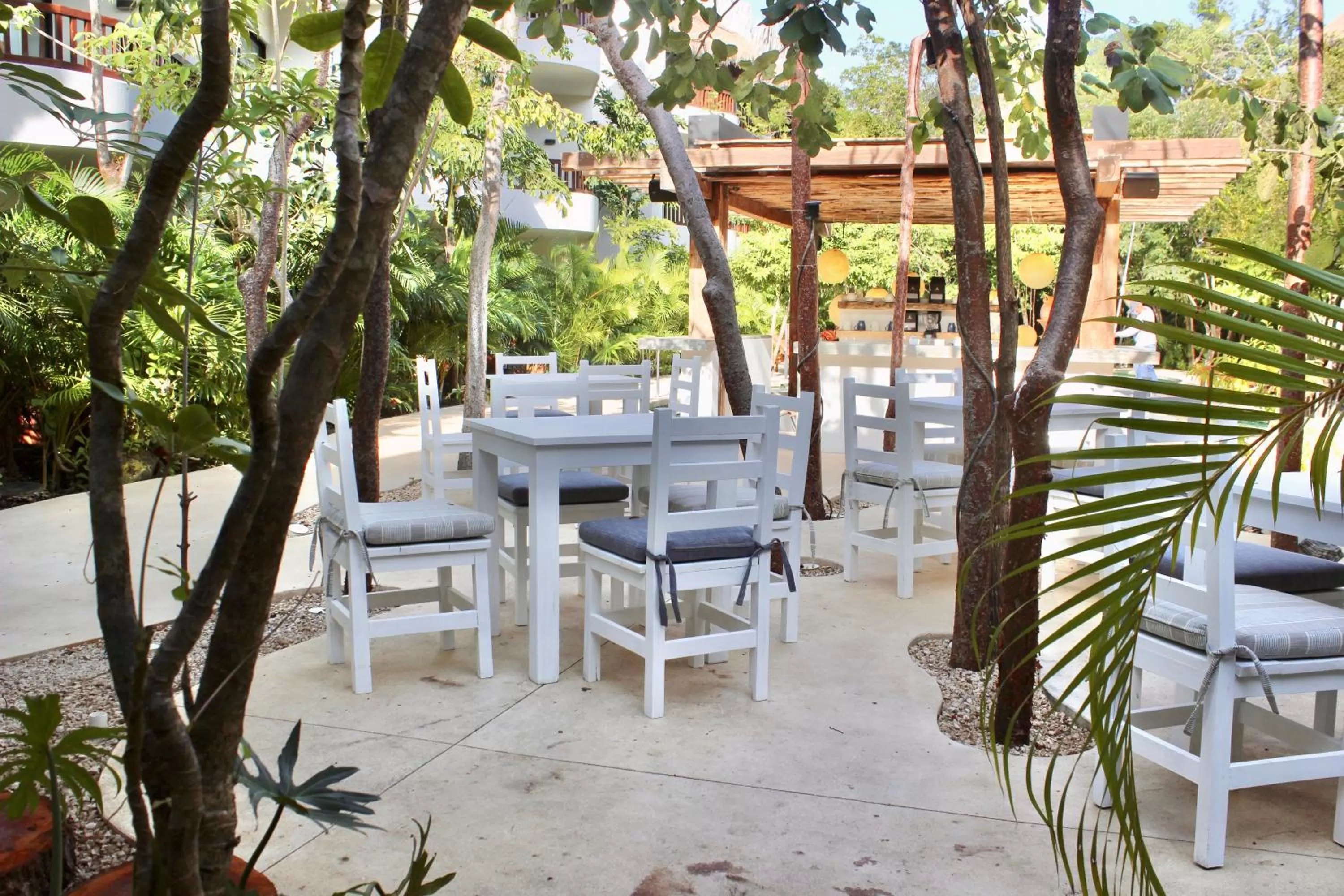 Restaurant/places to eat in Kimpton Aluna Resort Tulum by IHG