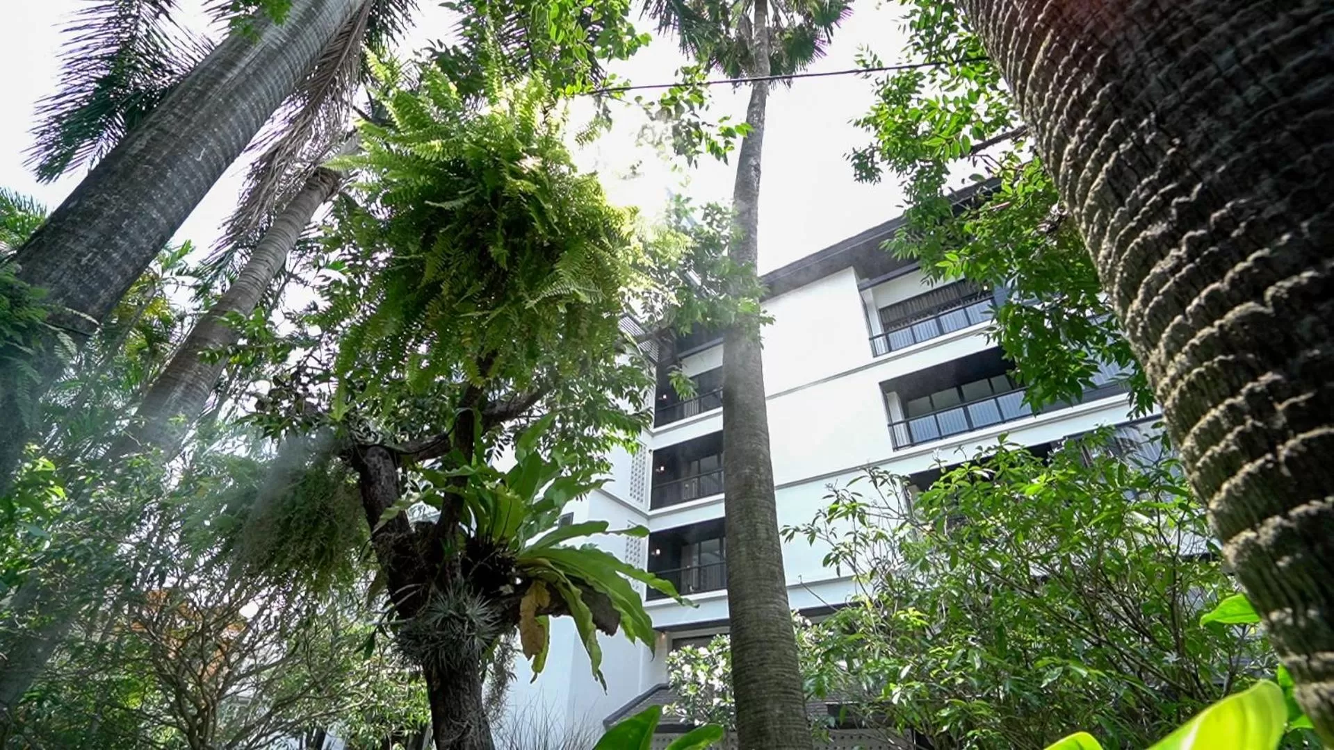 Garden in Sareeviengping Hotel Chiangmai