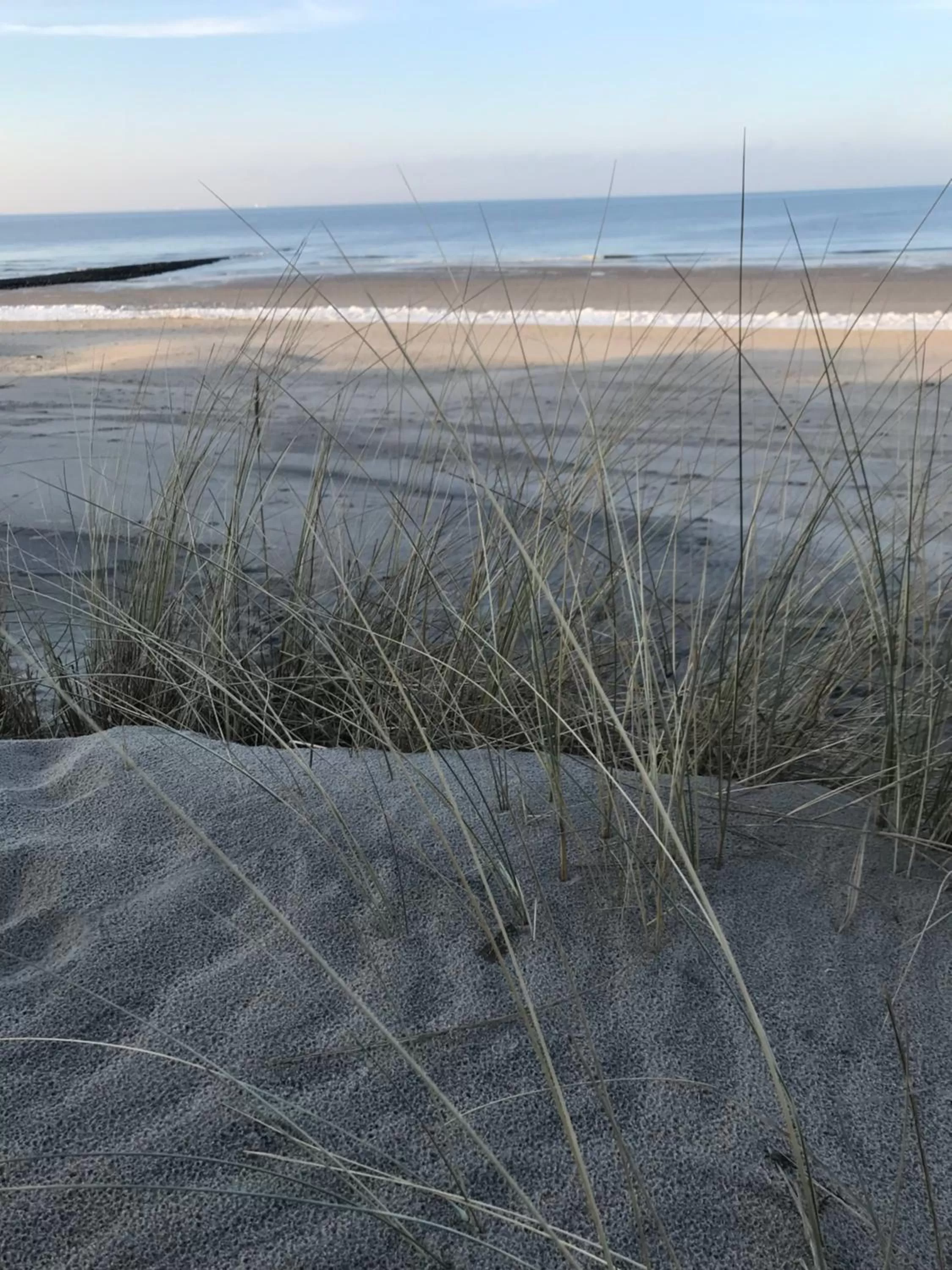 Beach in Leezdorfer Hof