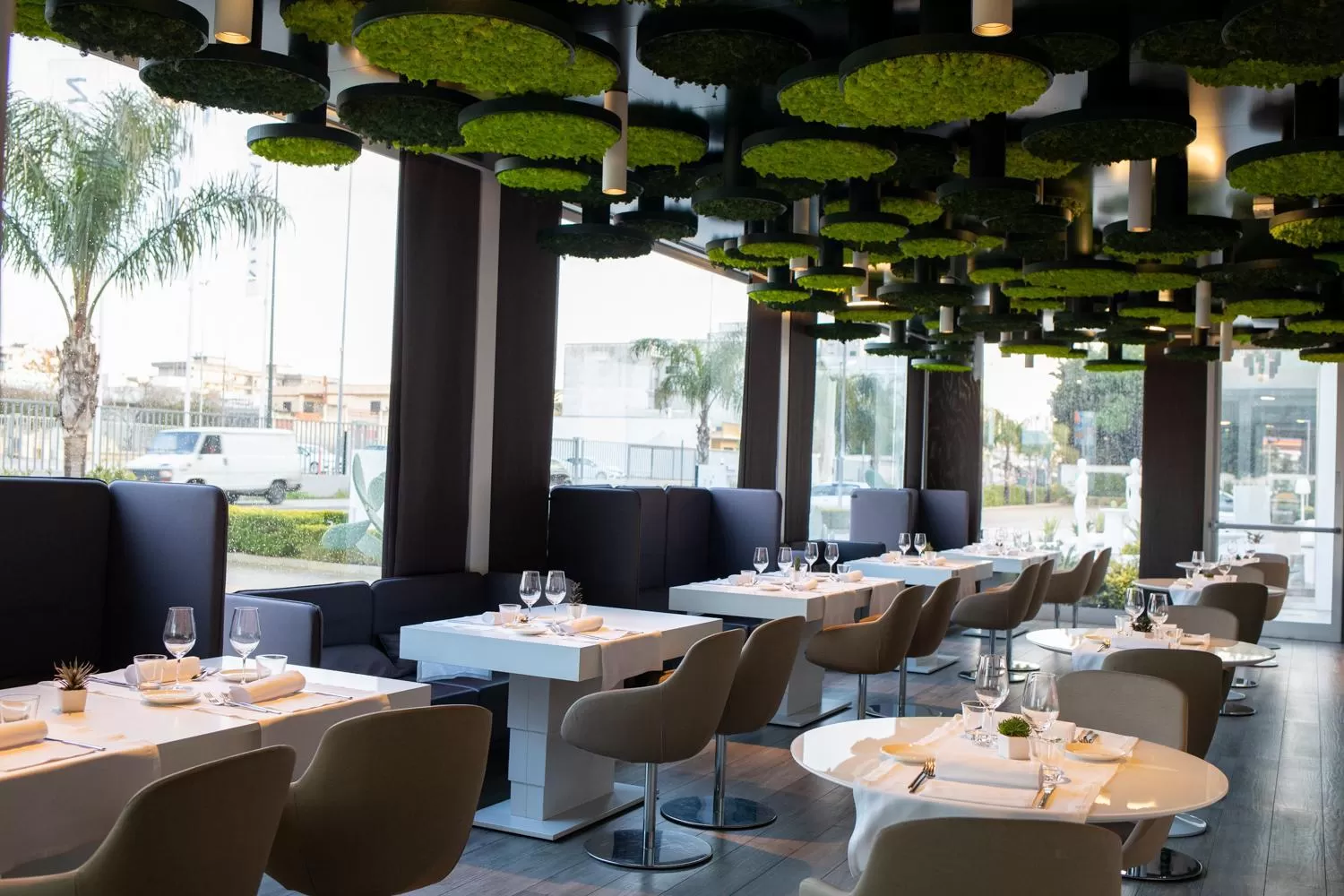 Restaurant/places to eat in 8Piuhotel