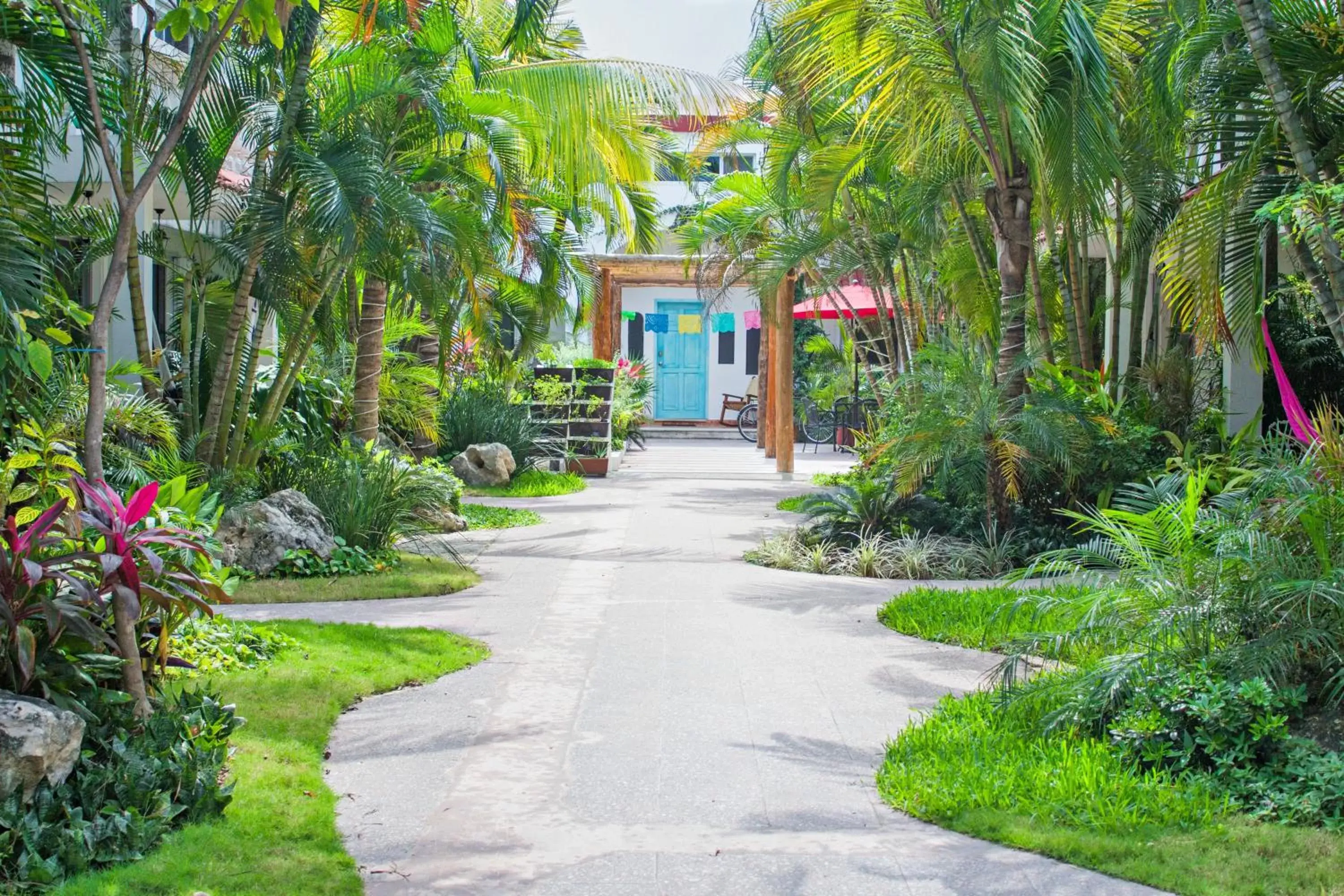 Garden, Property Building in Hotel Villas Colibrí Suites & Bungalows