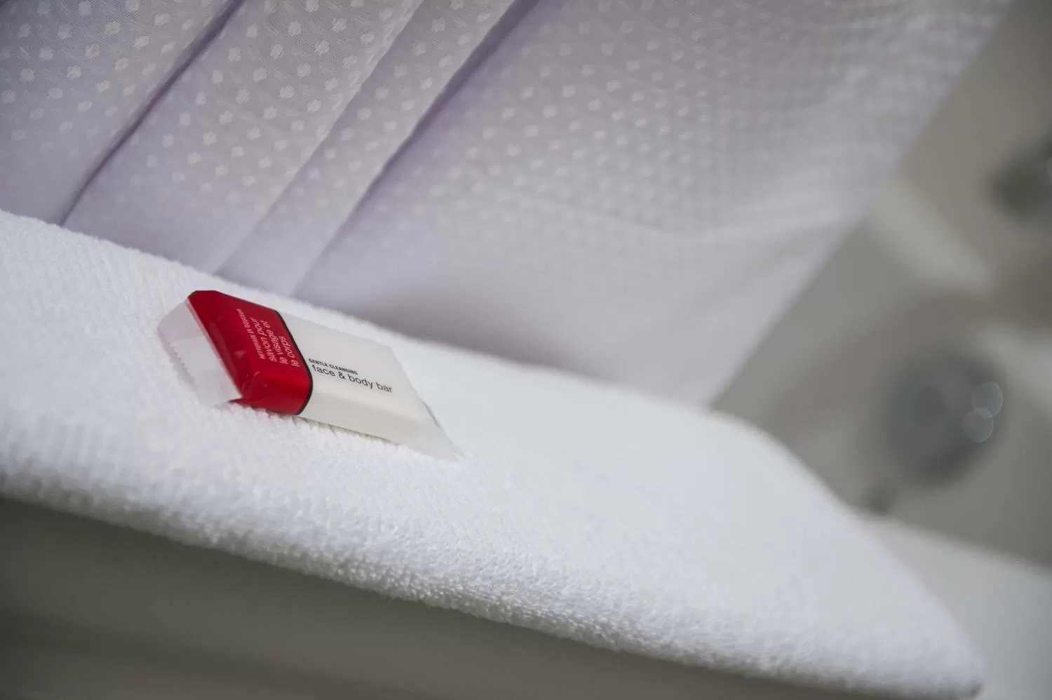 Decorative detail, Bed in Microtel Inn & Suites by Wyndham Portage La Prairie