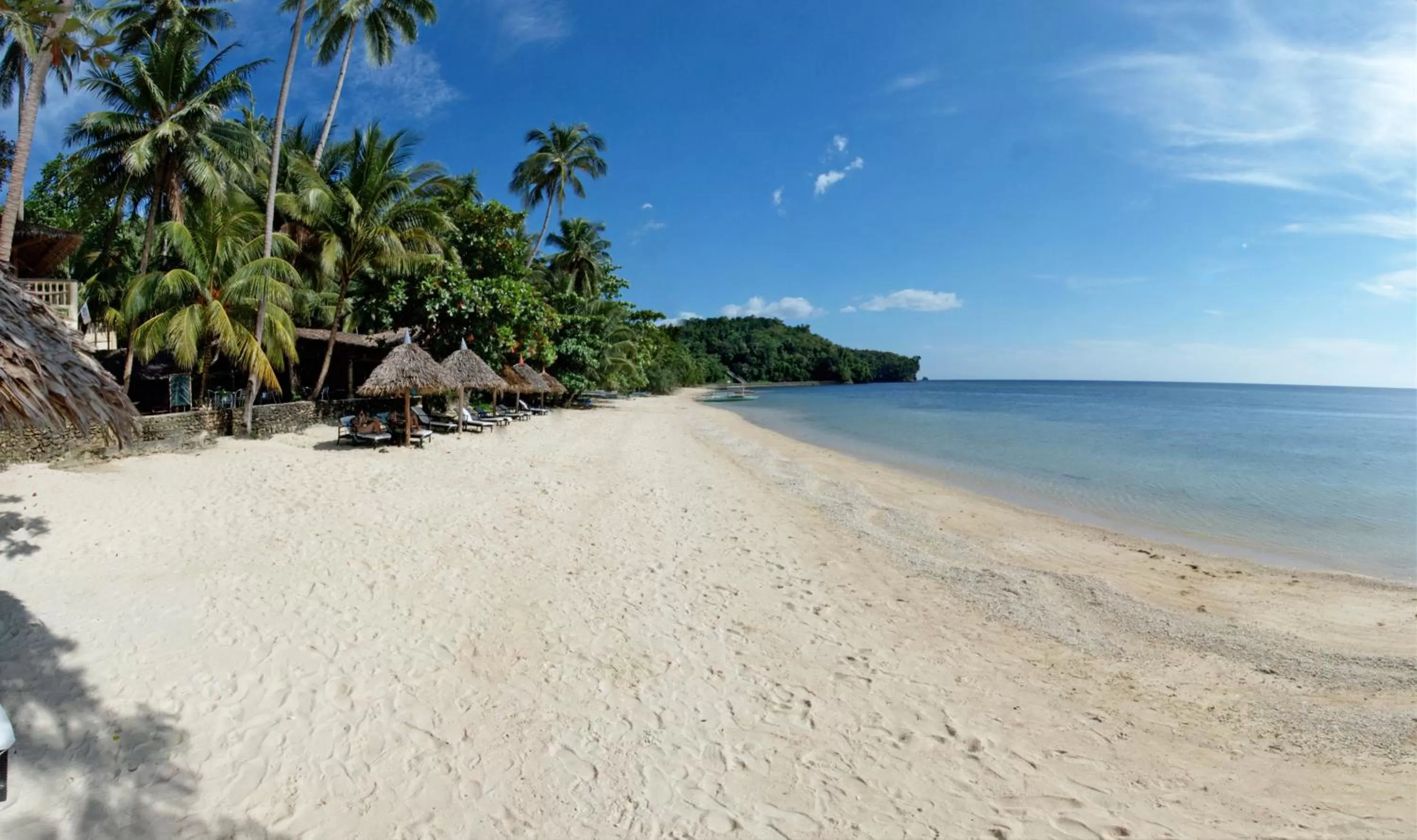 Natural landscape in Easy Diving and Beach Resort