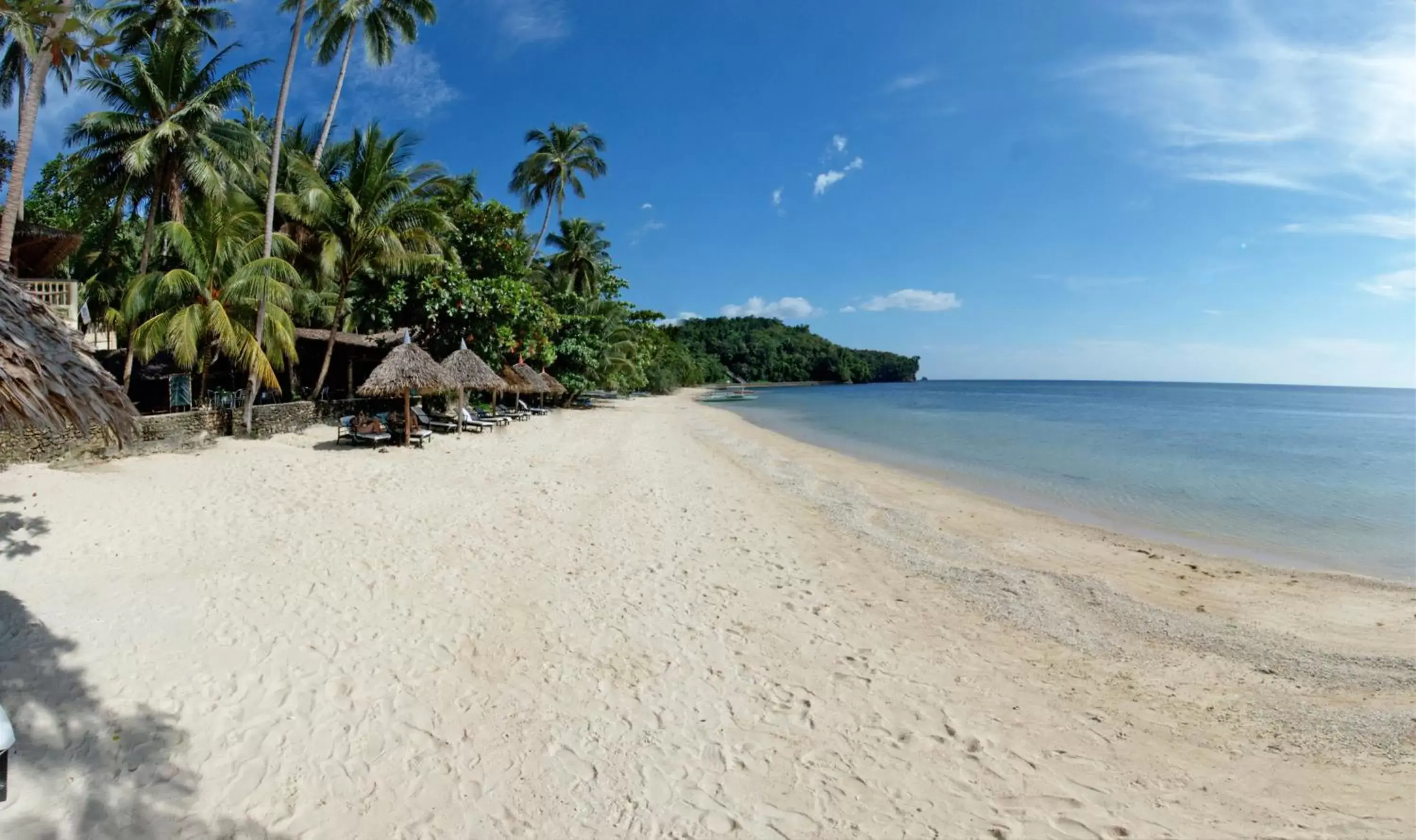 Natural landscape, Beach in Easy Diving and Beach Resort