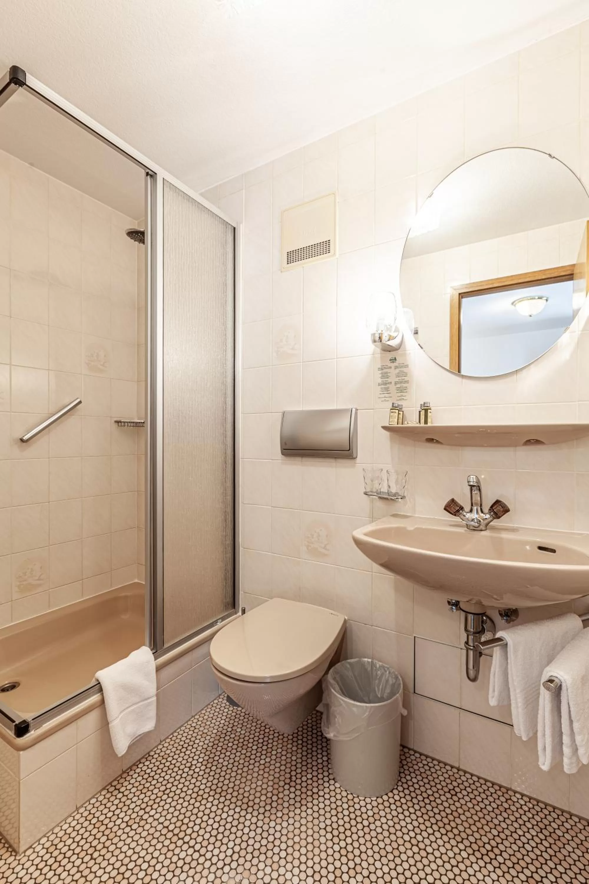 Shower in Hotel Garni Traube