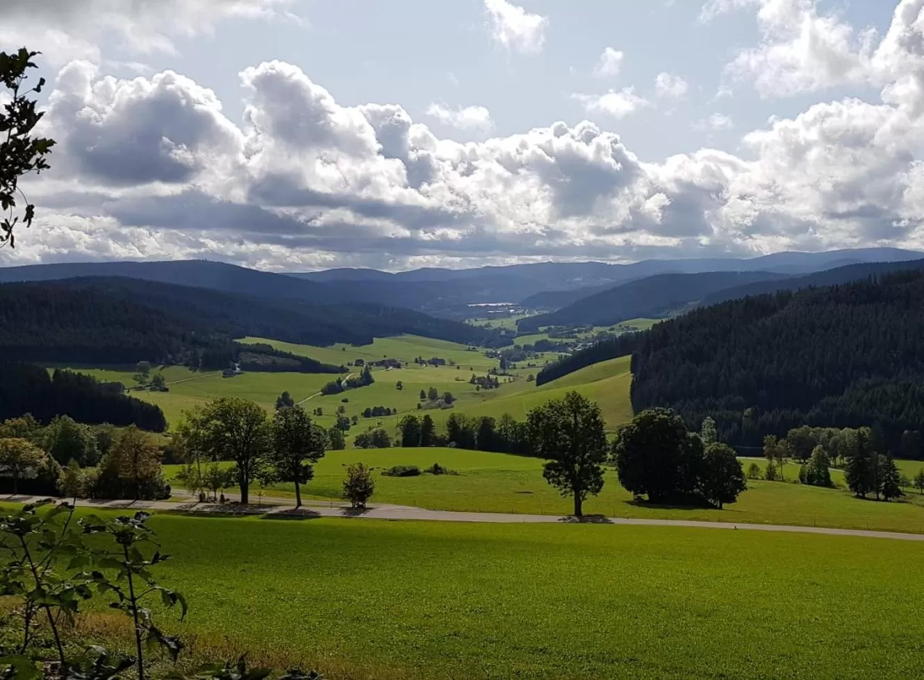 Natural landscape in Hotel Zum Löwen - Unteres Wirtshaus