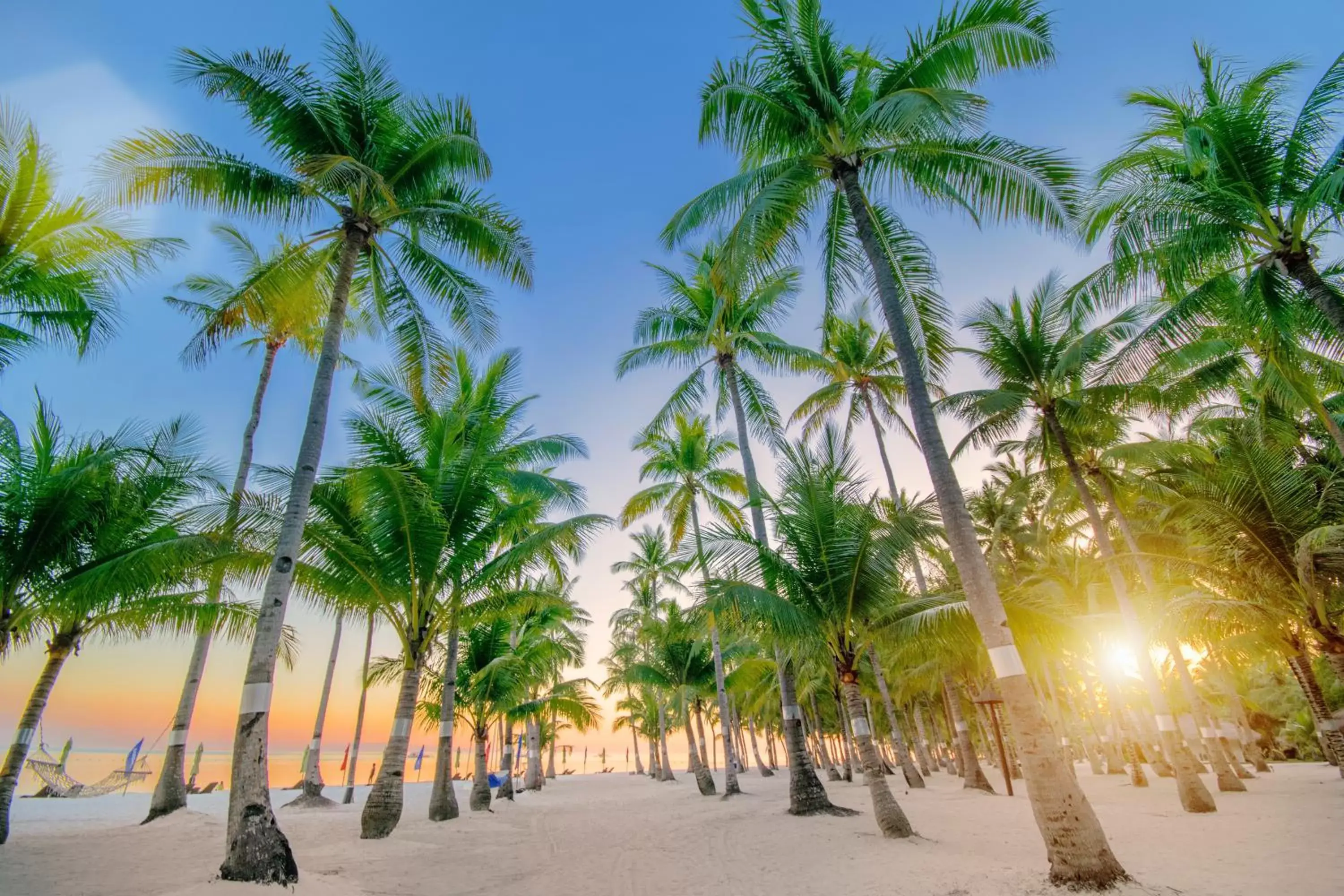 Property building in Oceanica Resort Panglao, Bohol Property building in Oceanica Resort Panglao, Bohol