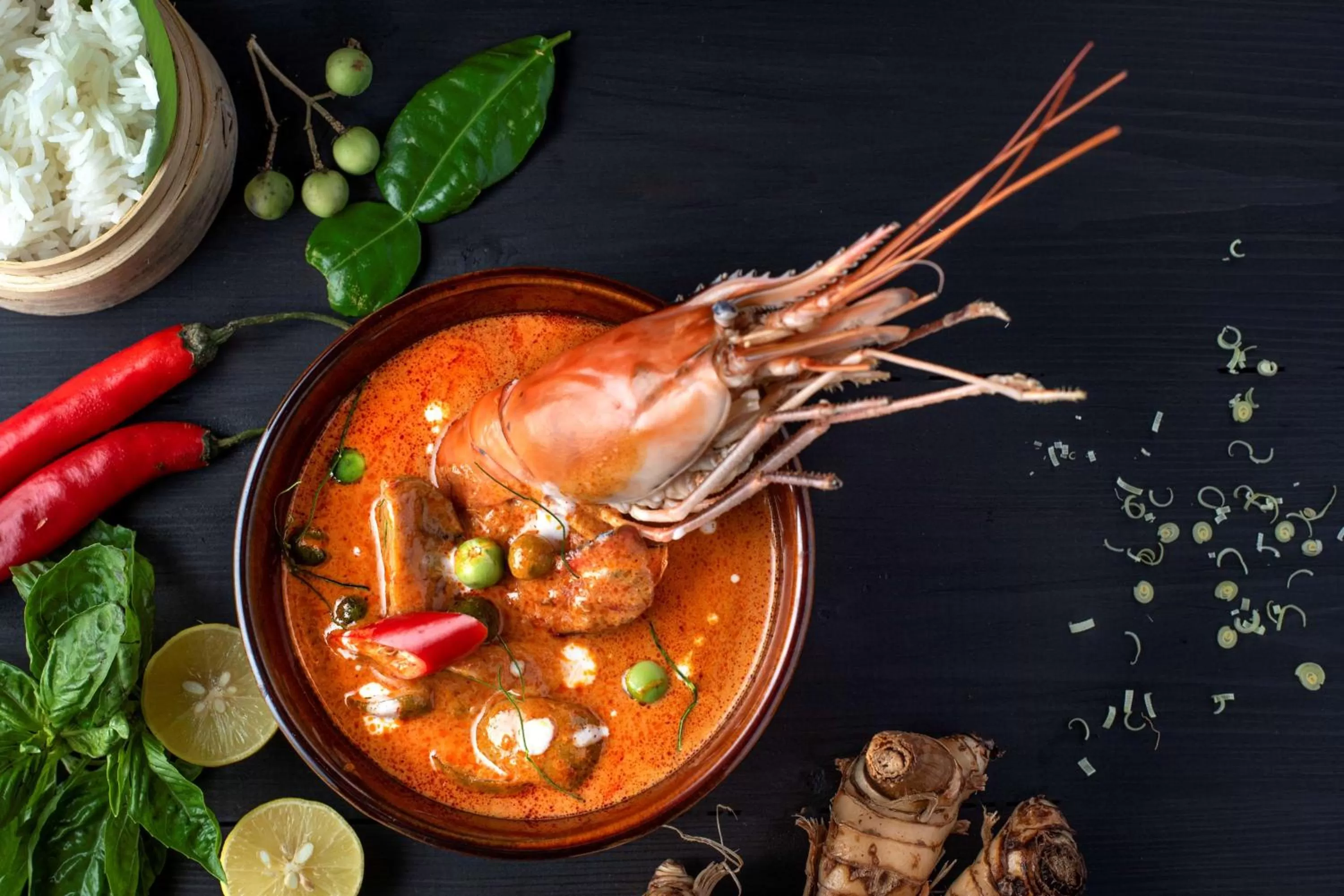 Food and drinks in Radisson Blu Plaza Delhi Airport