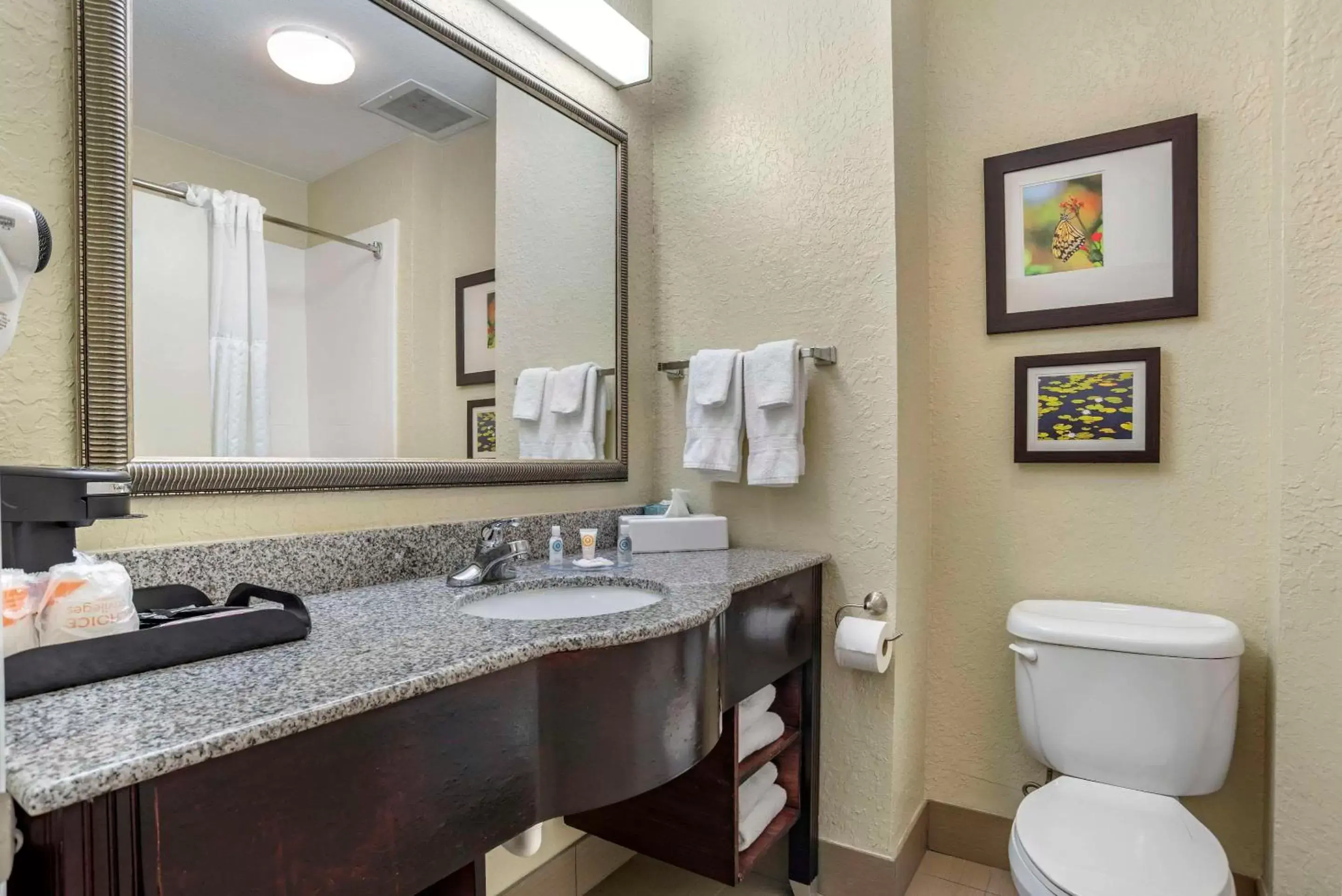 Bedroom, Bathroom in Comfort Inn & Suites Marianna I-10